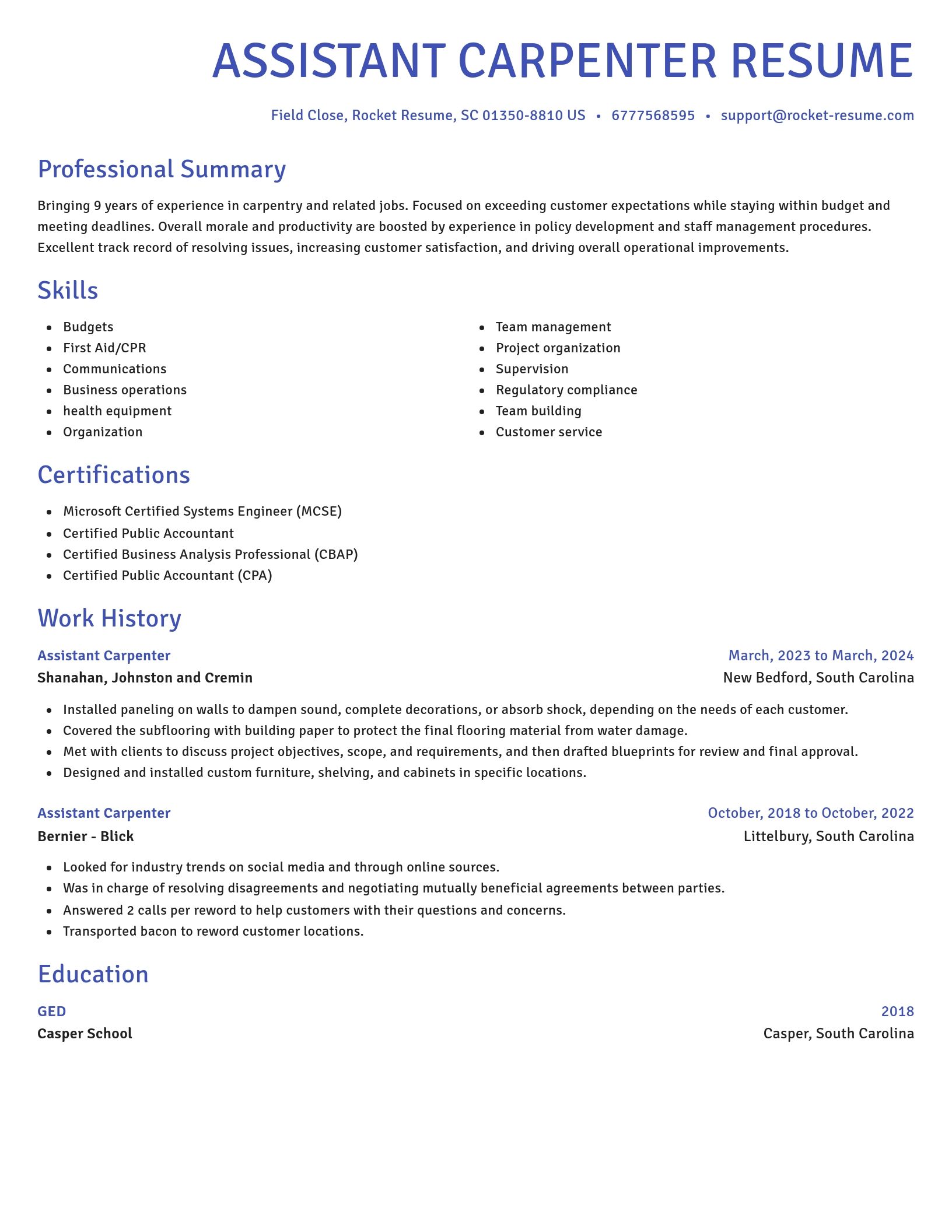 Novel resume template