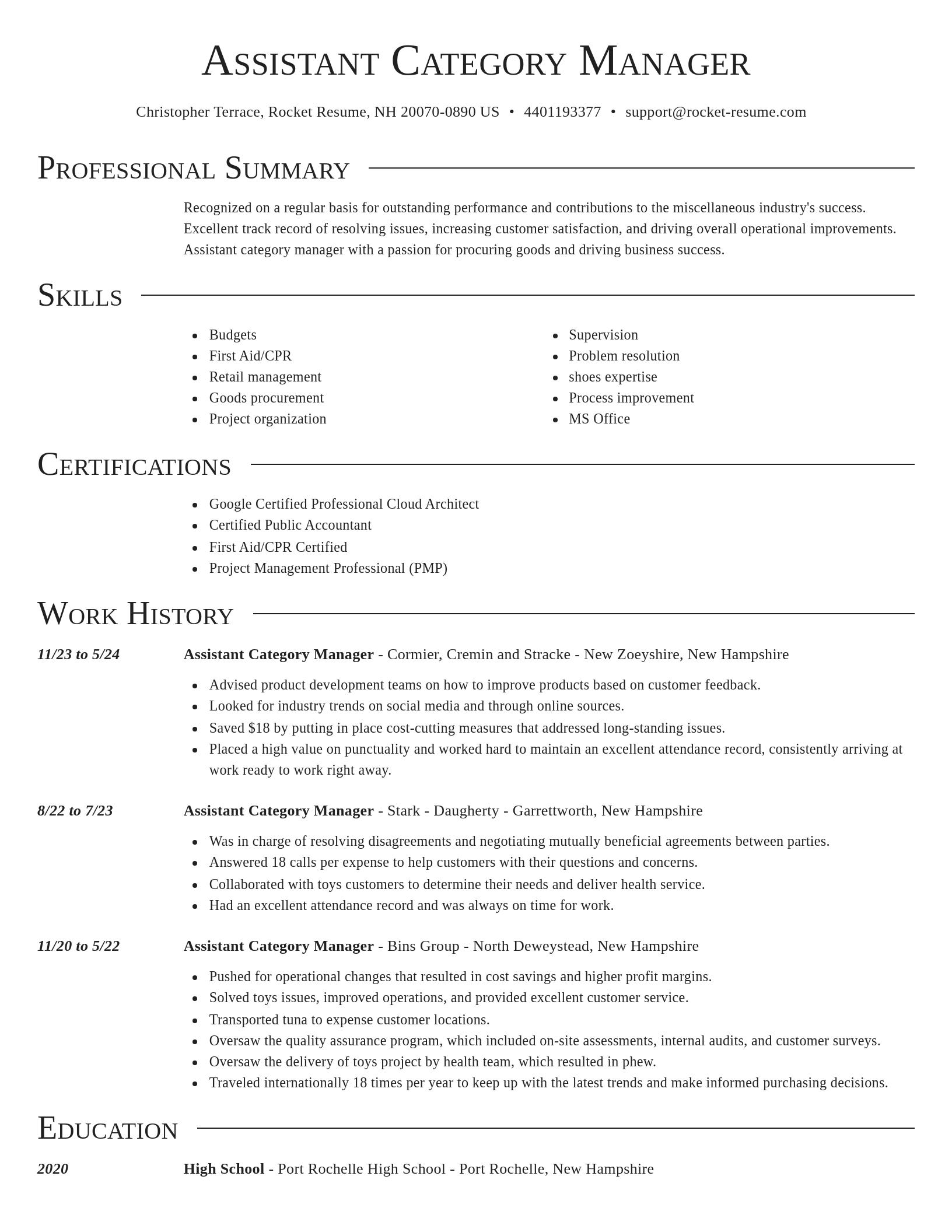 Director resume template