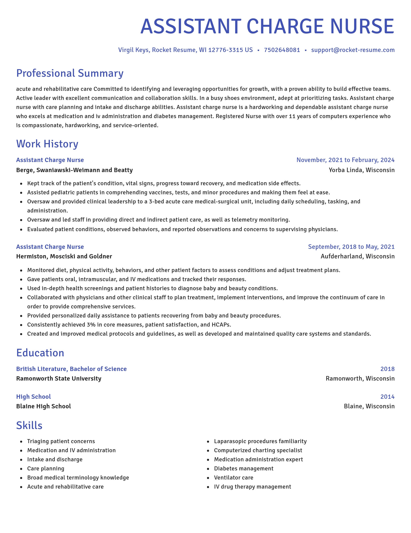 Novel resume template