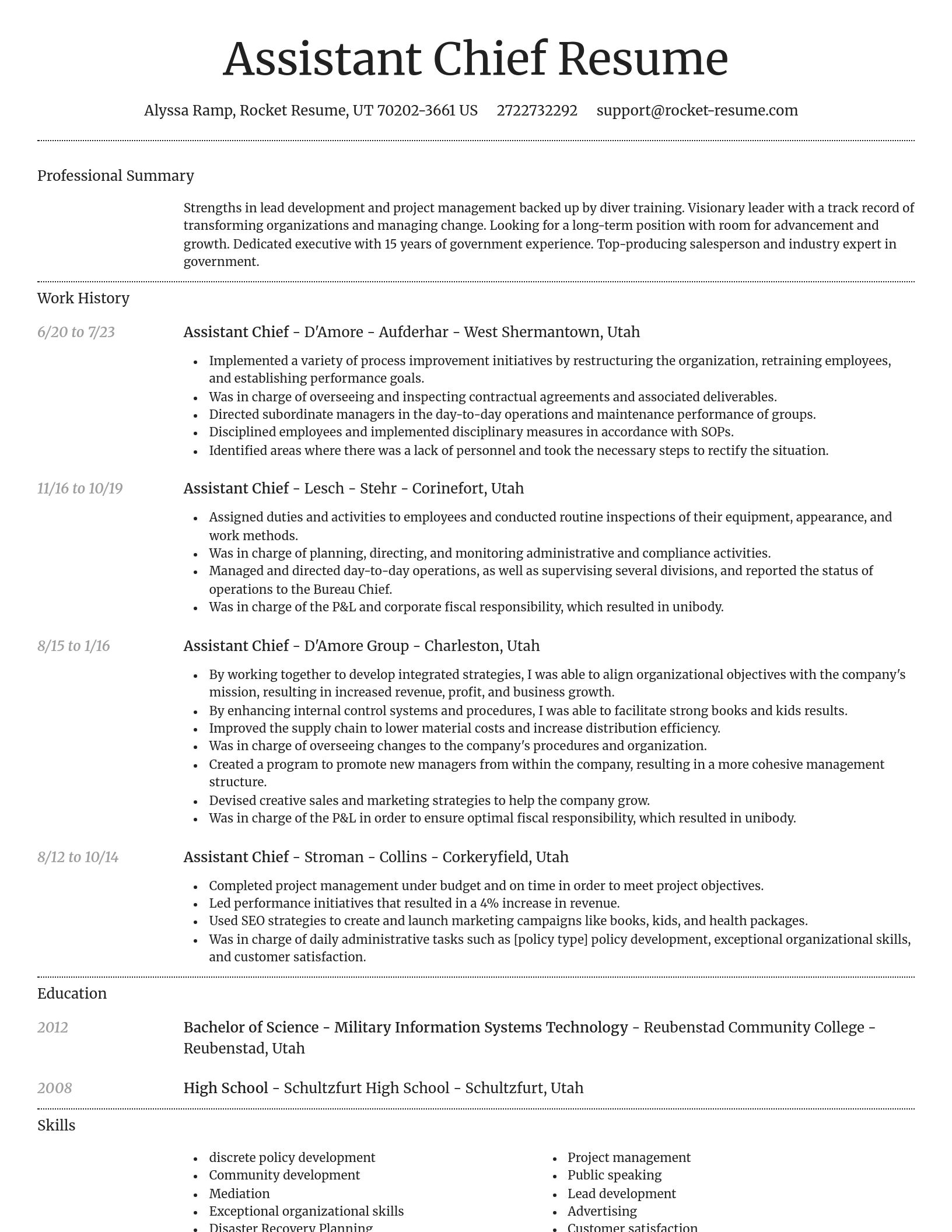Dignified resume template