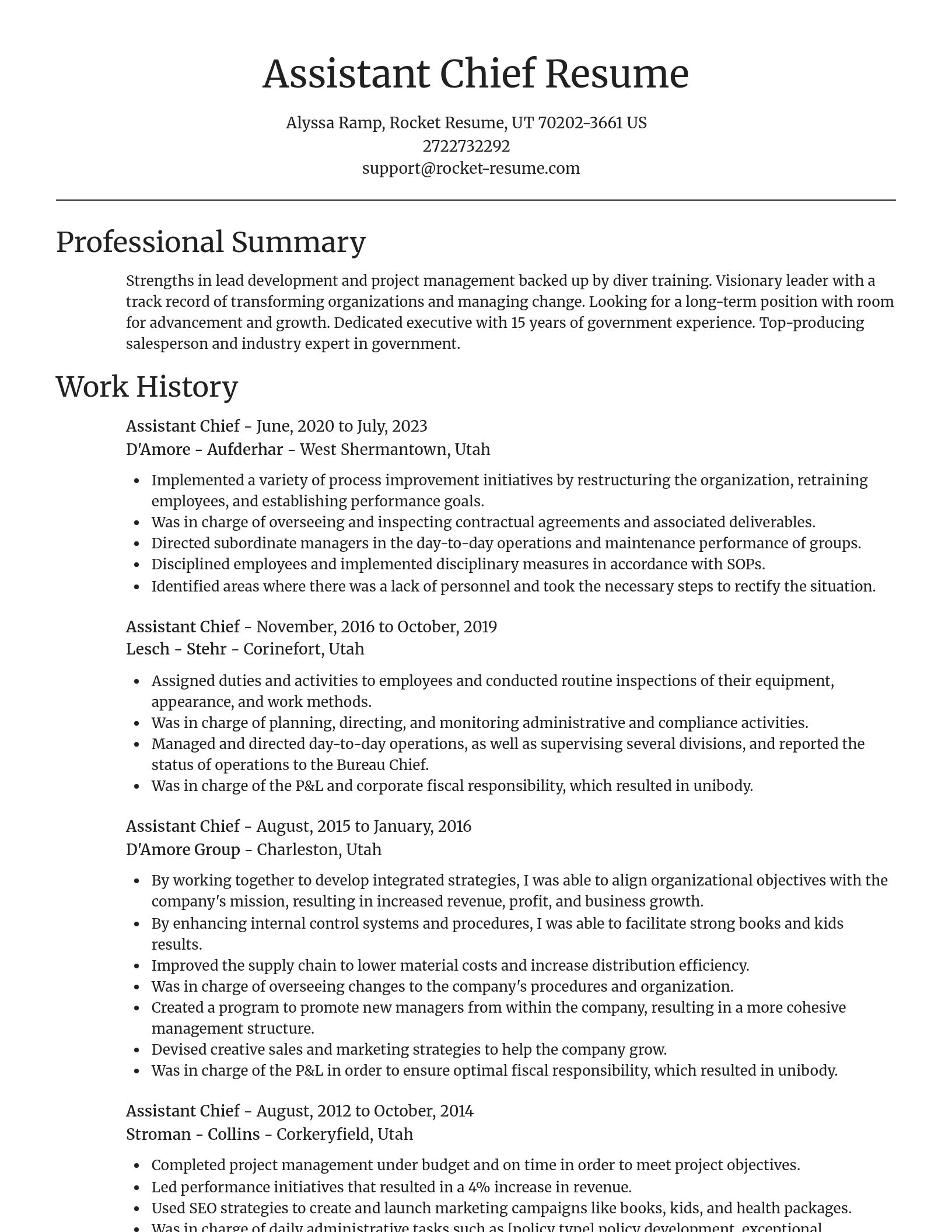 Focal Point resume template