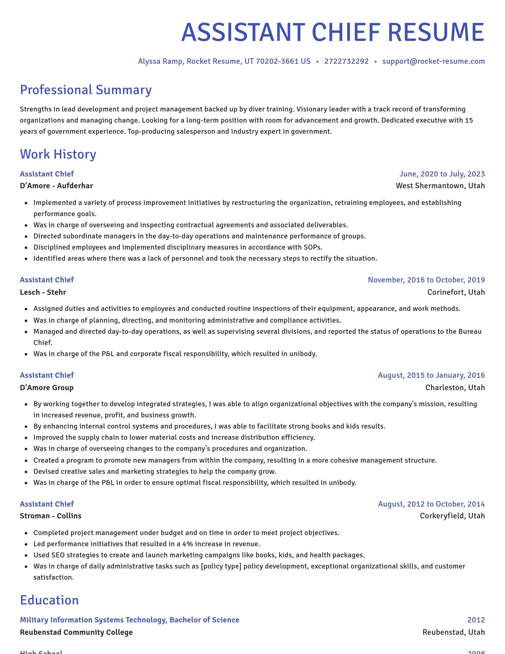 Novel resume template