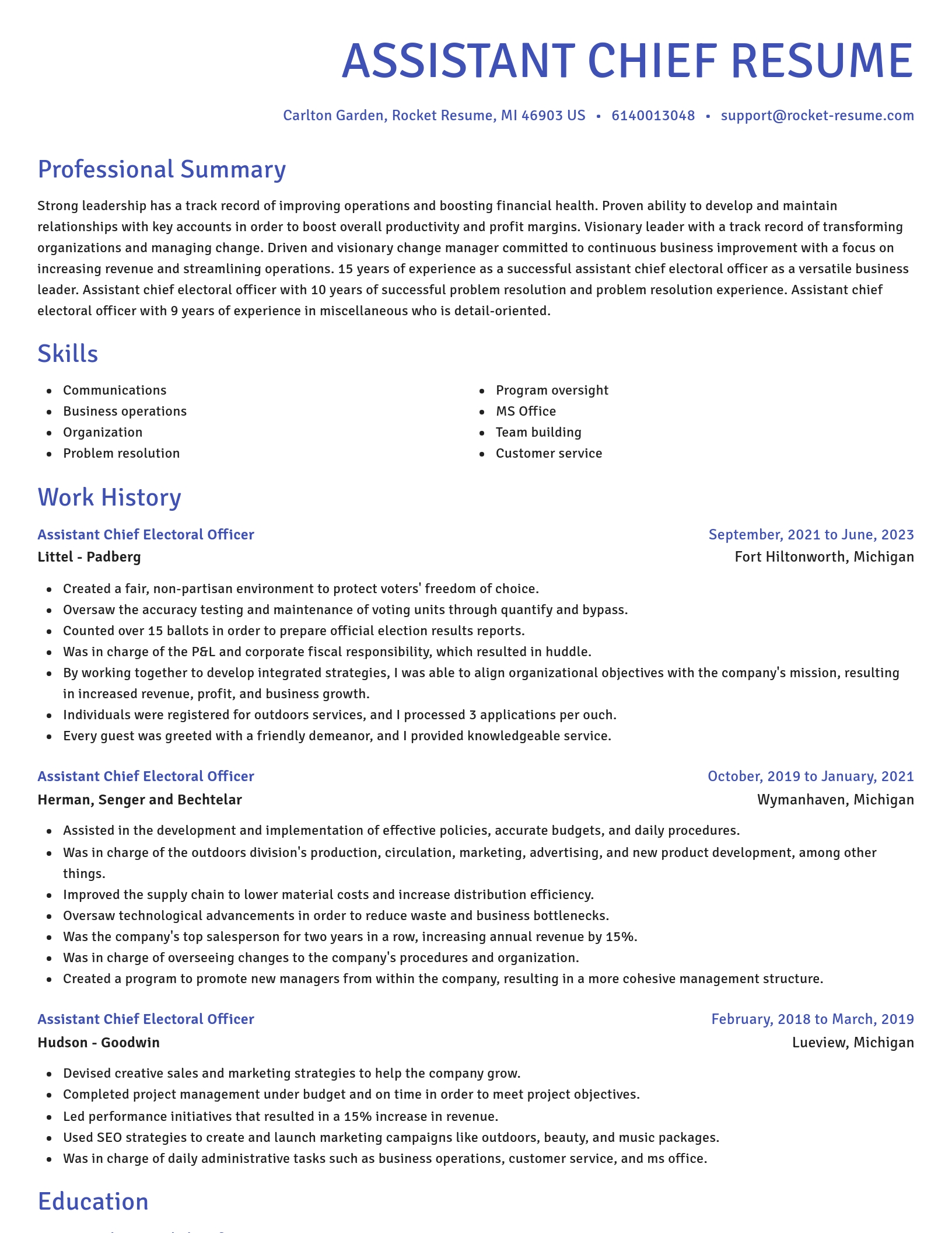 Novel resume template