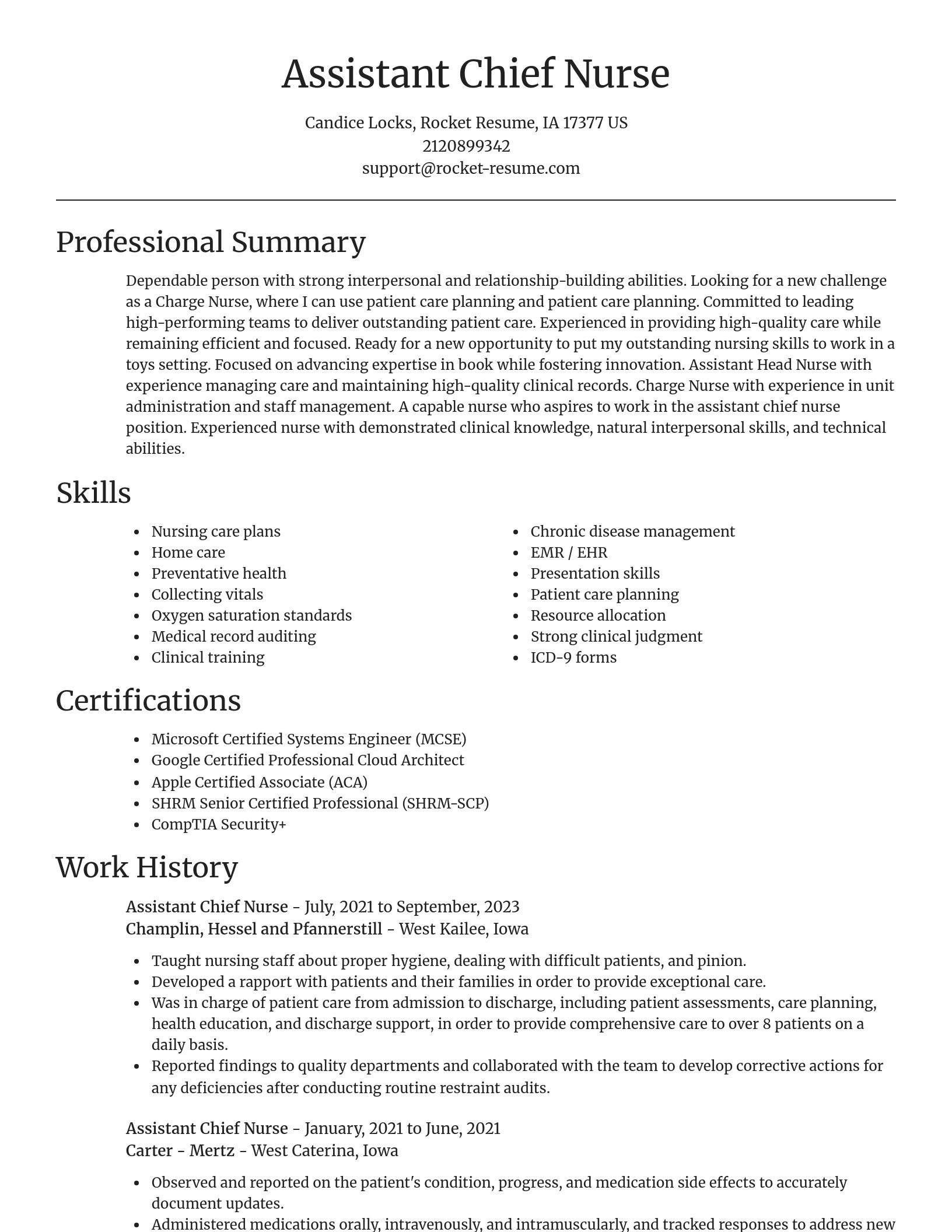 Focal Point resume template