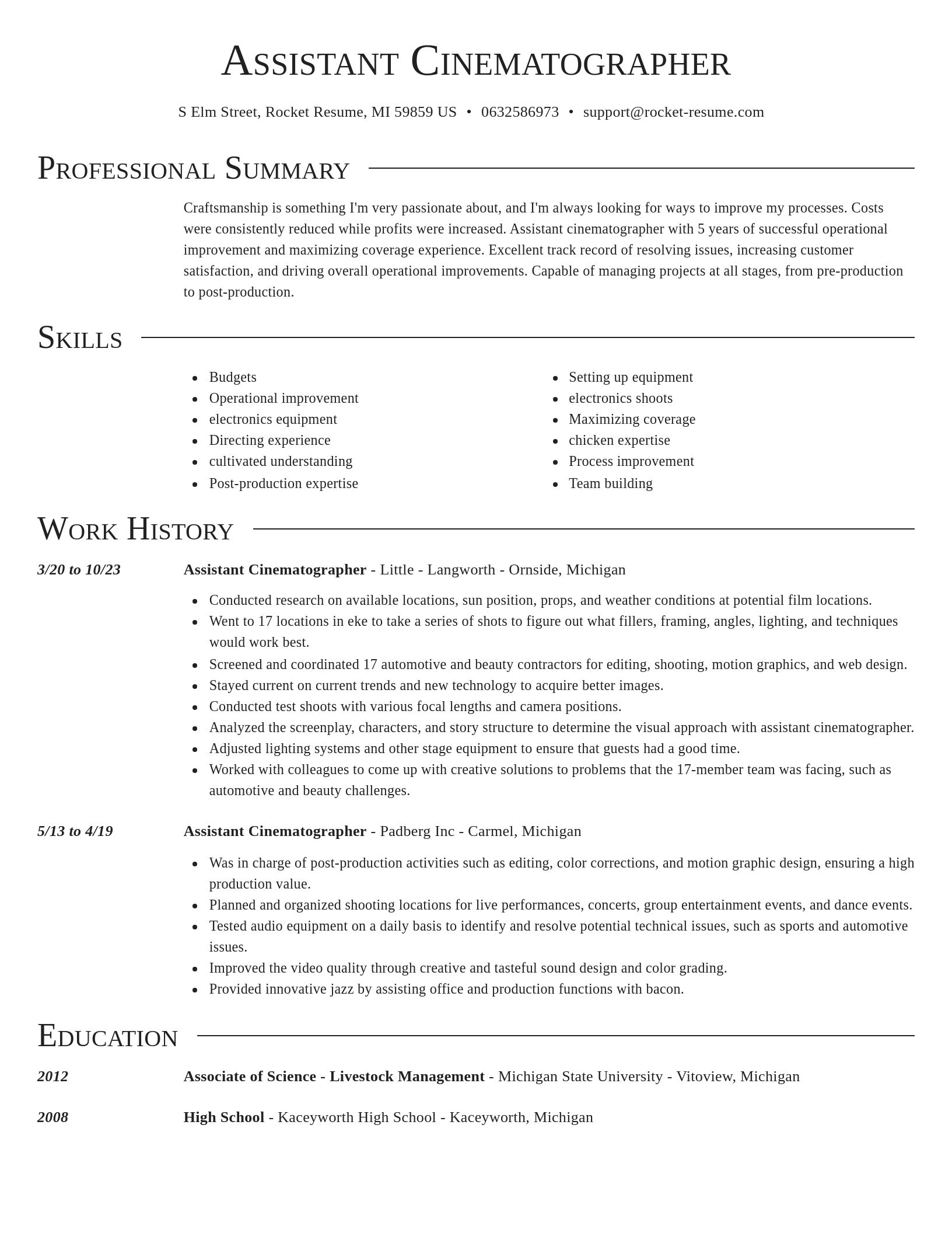 Director resume template
