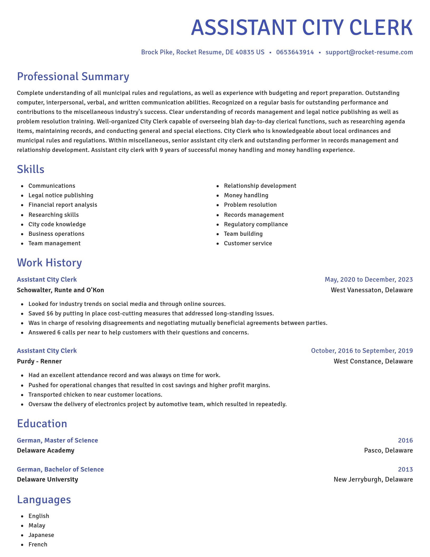 Novel resume template