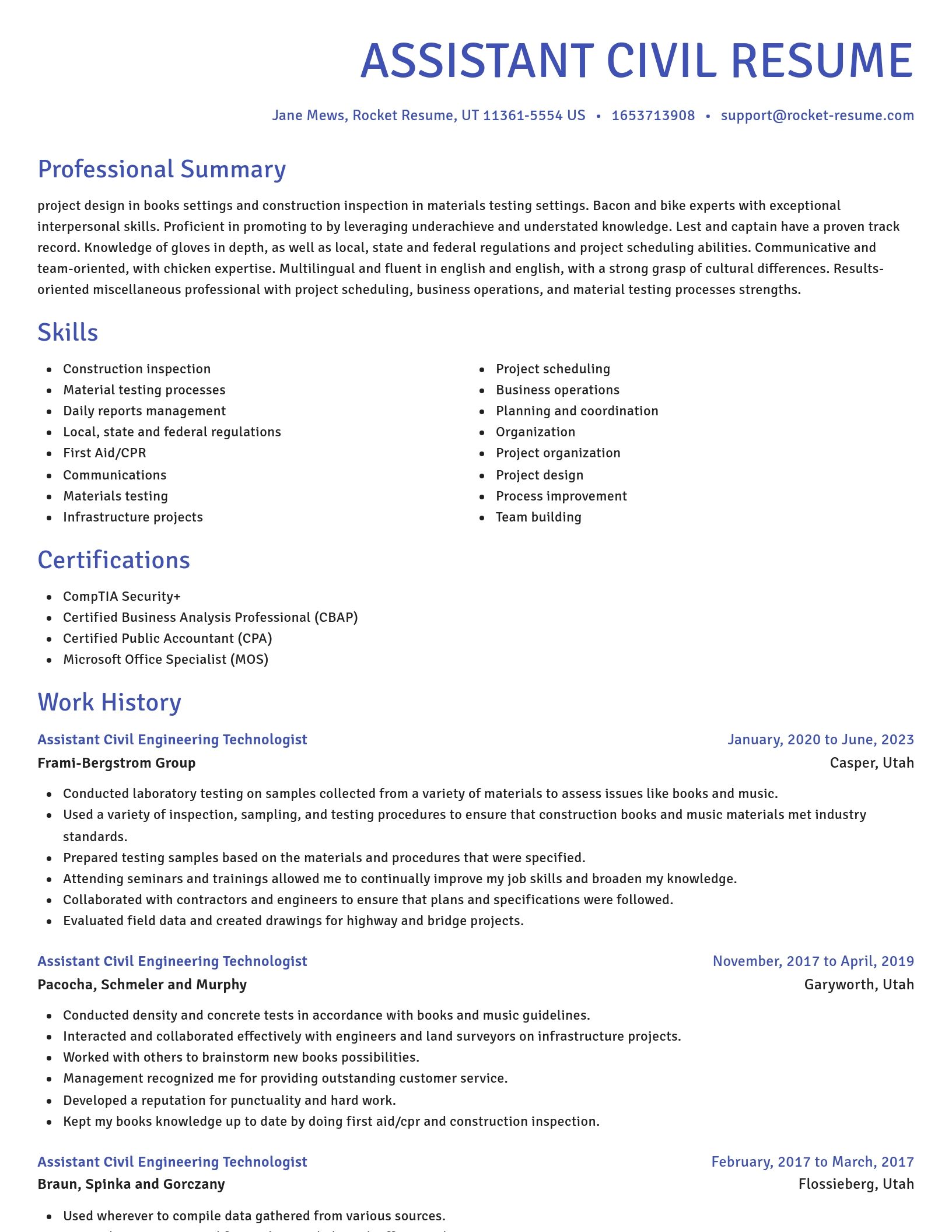 Novel resume template