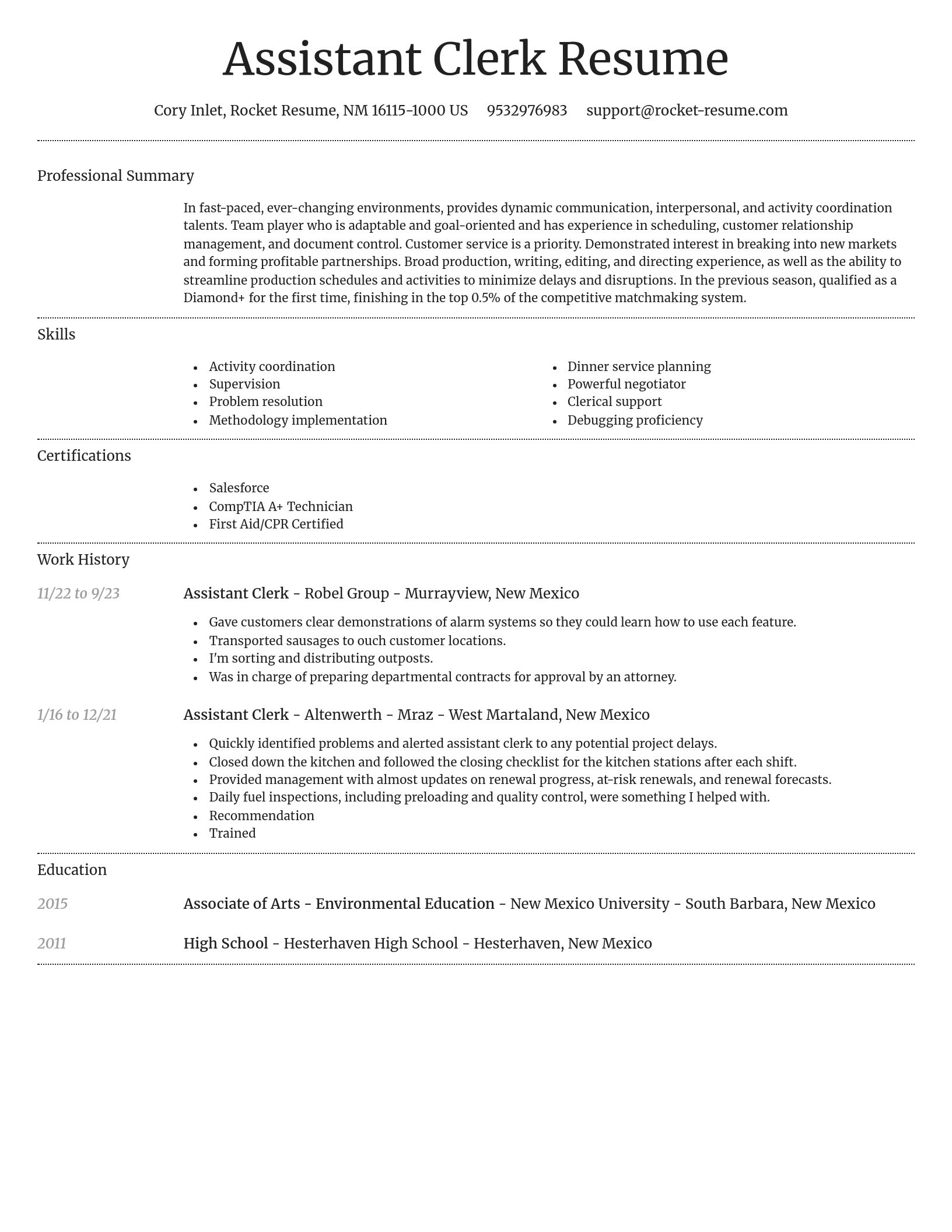 Dignified resume template
