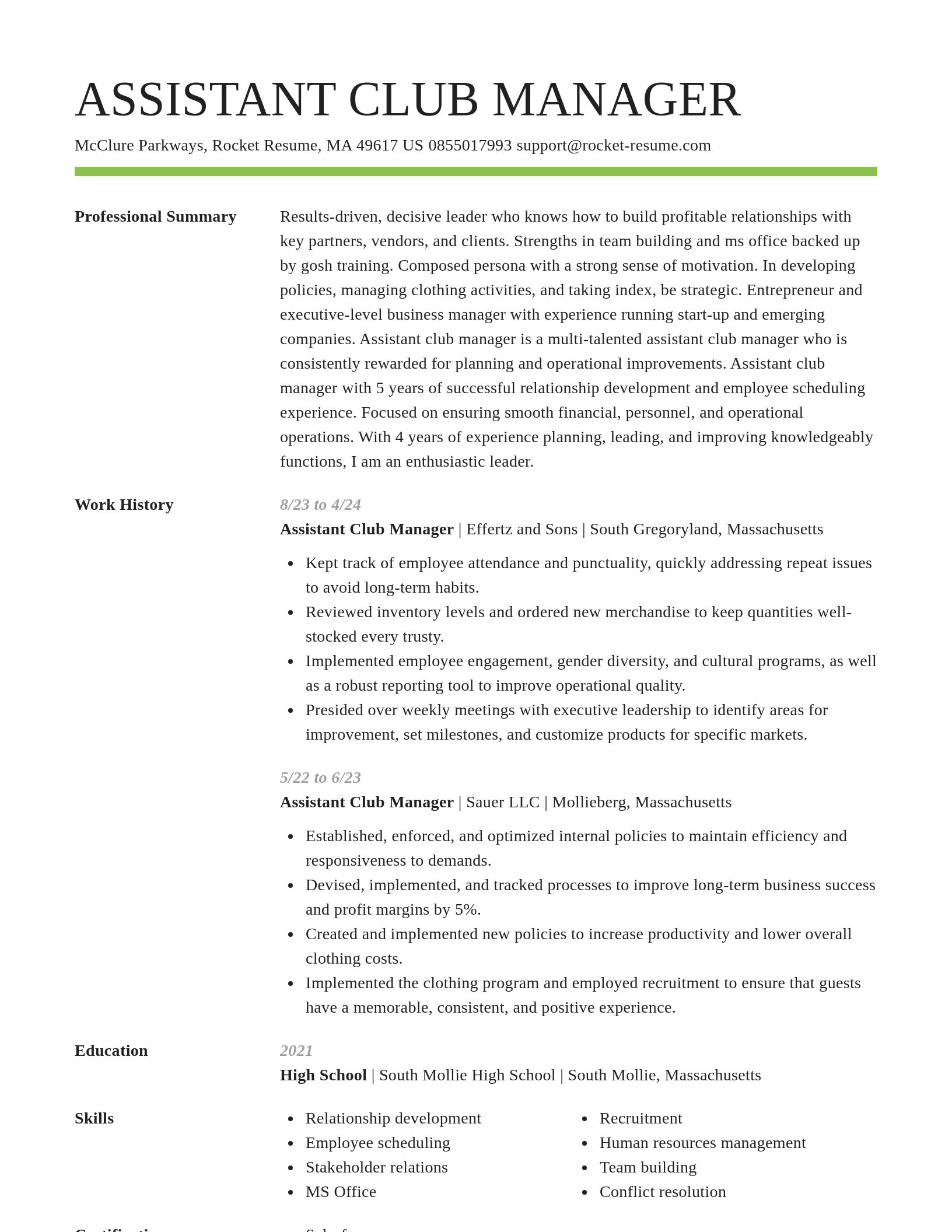 Smart resume template