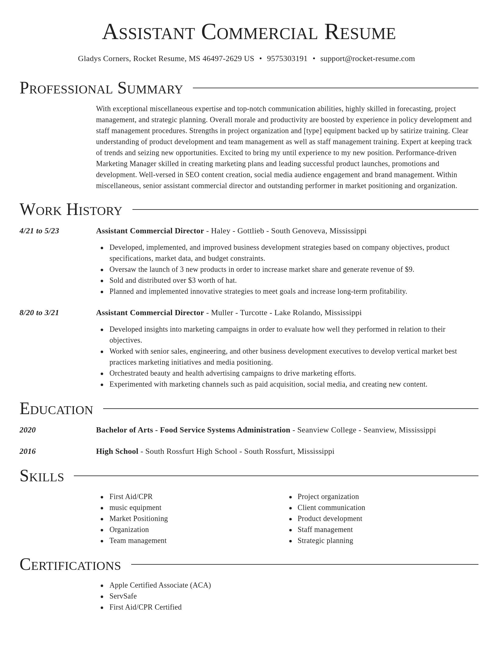 Director resume template