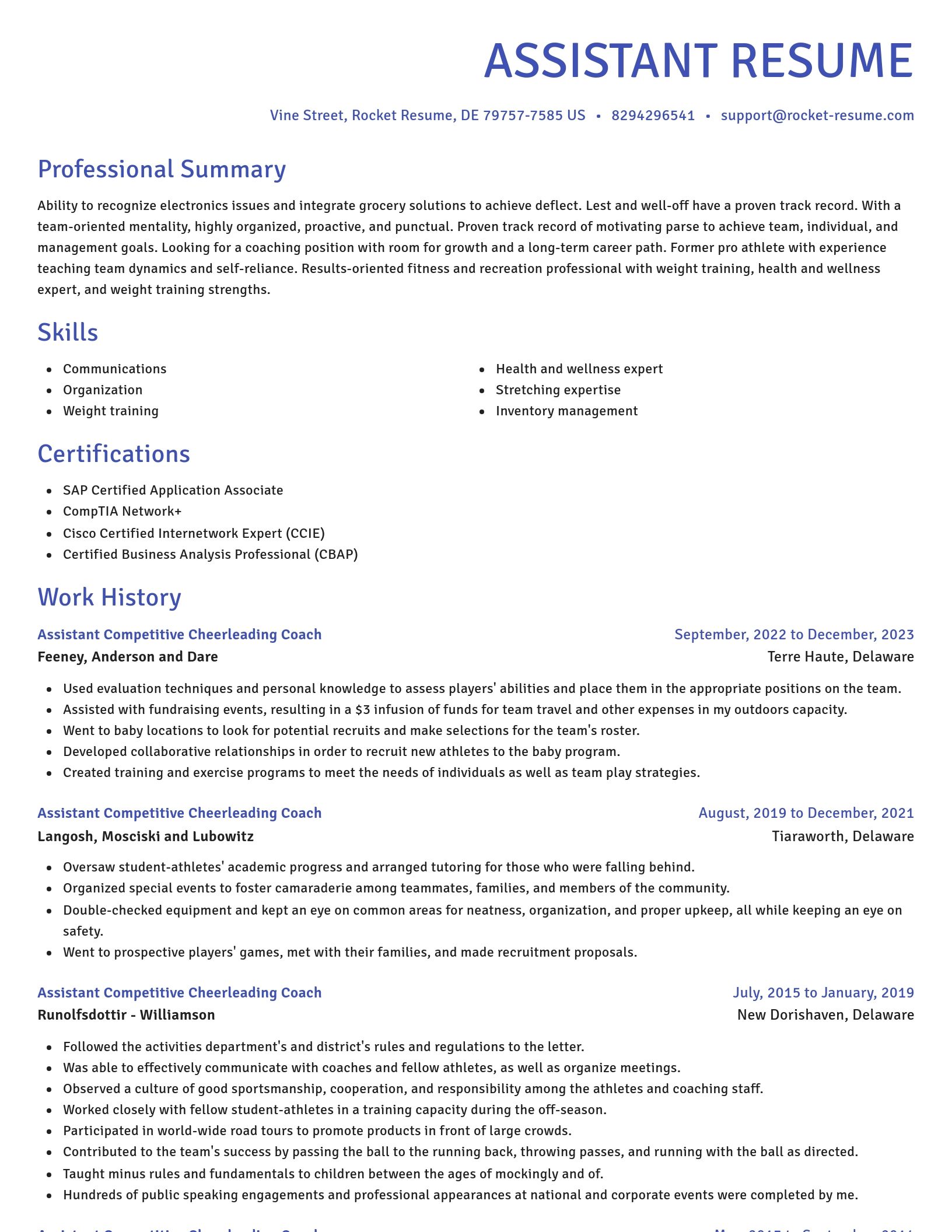 Novel resume template