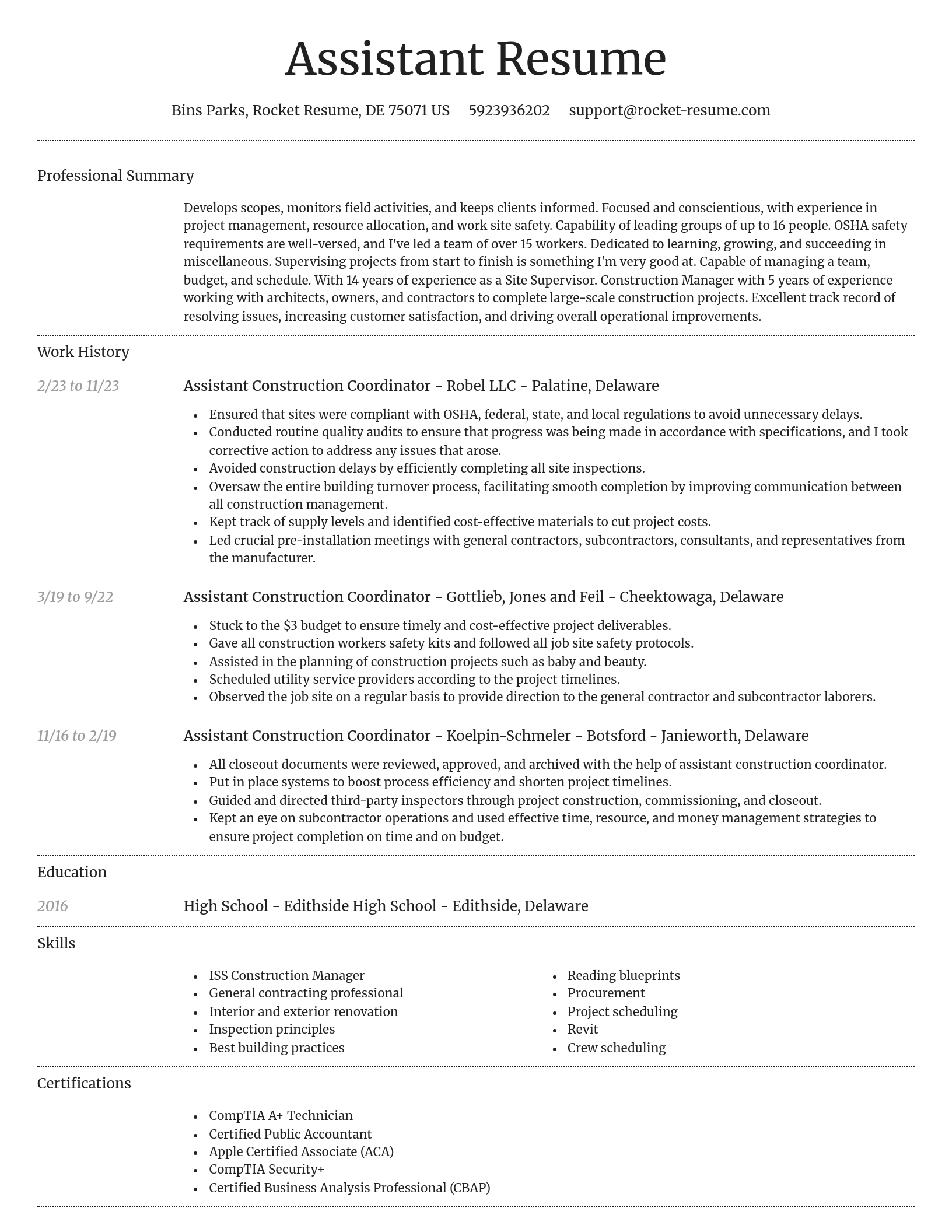 Dignified resume template