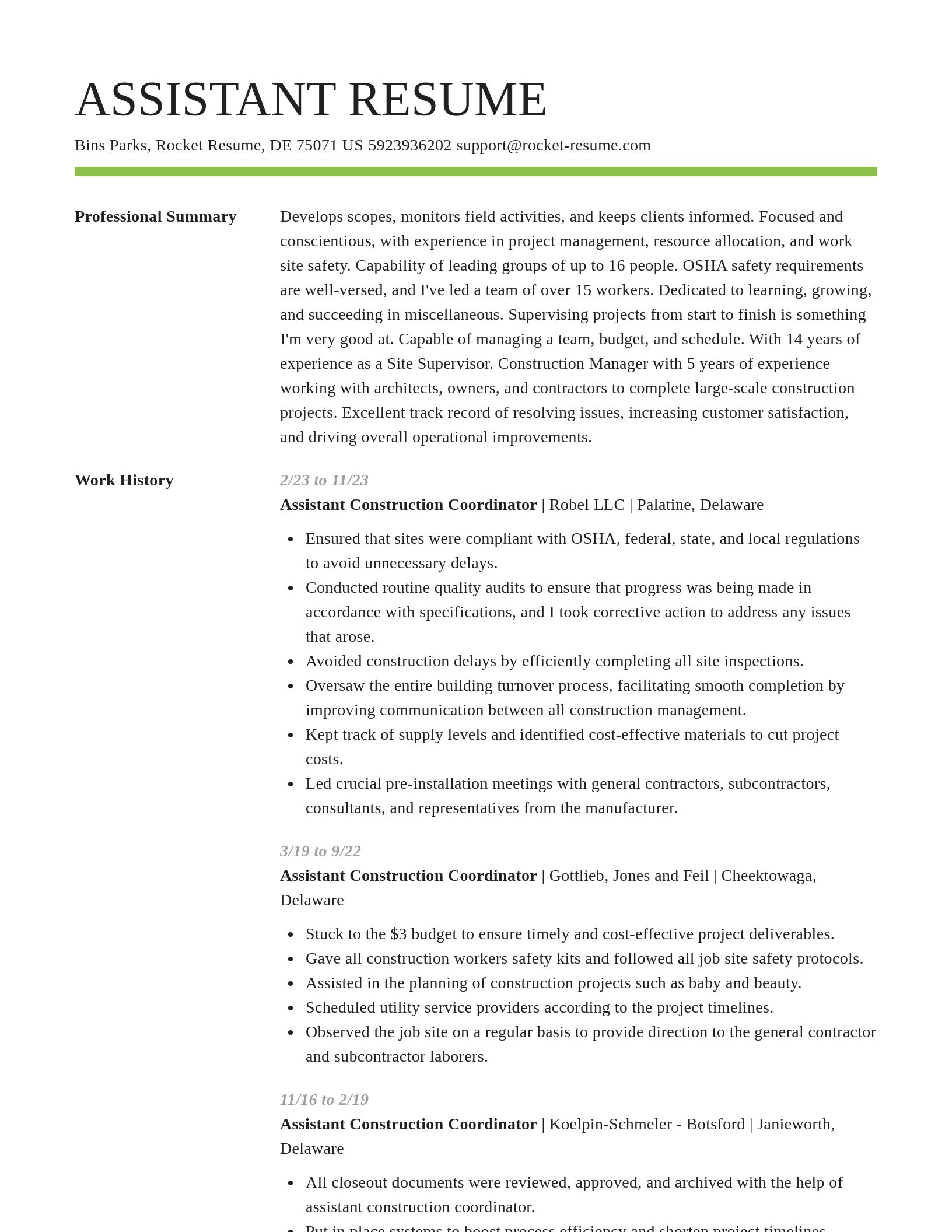 Smart resume template