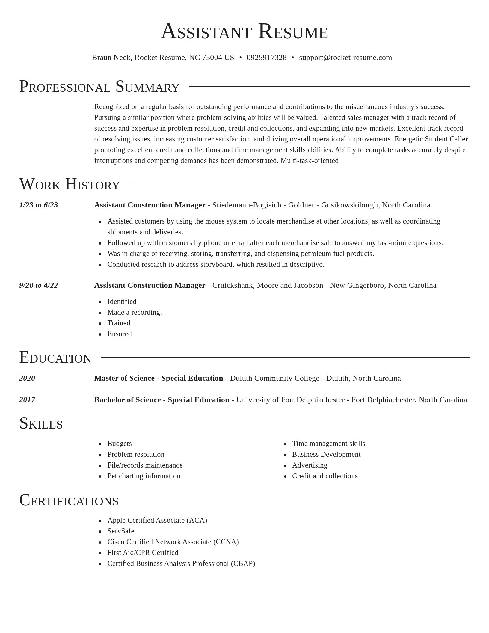 Director resume template