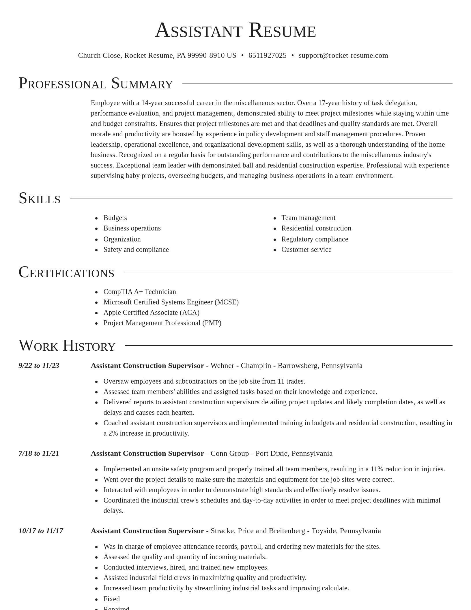 Director resume template