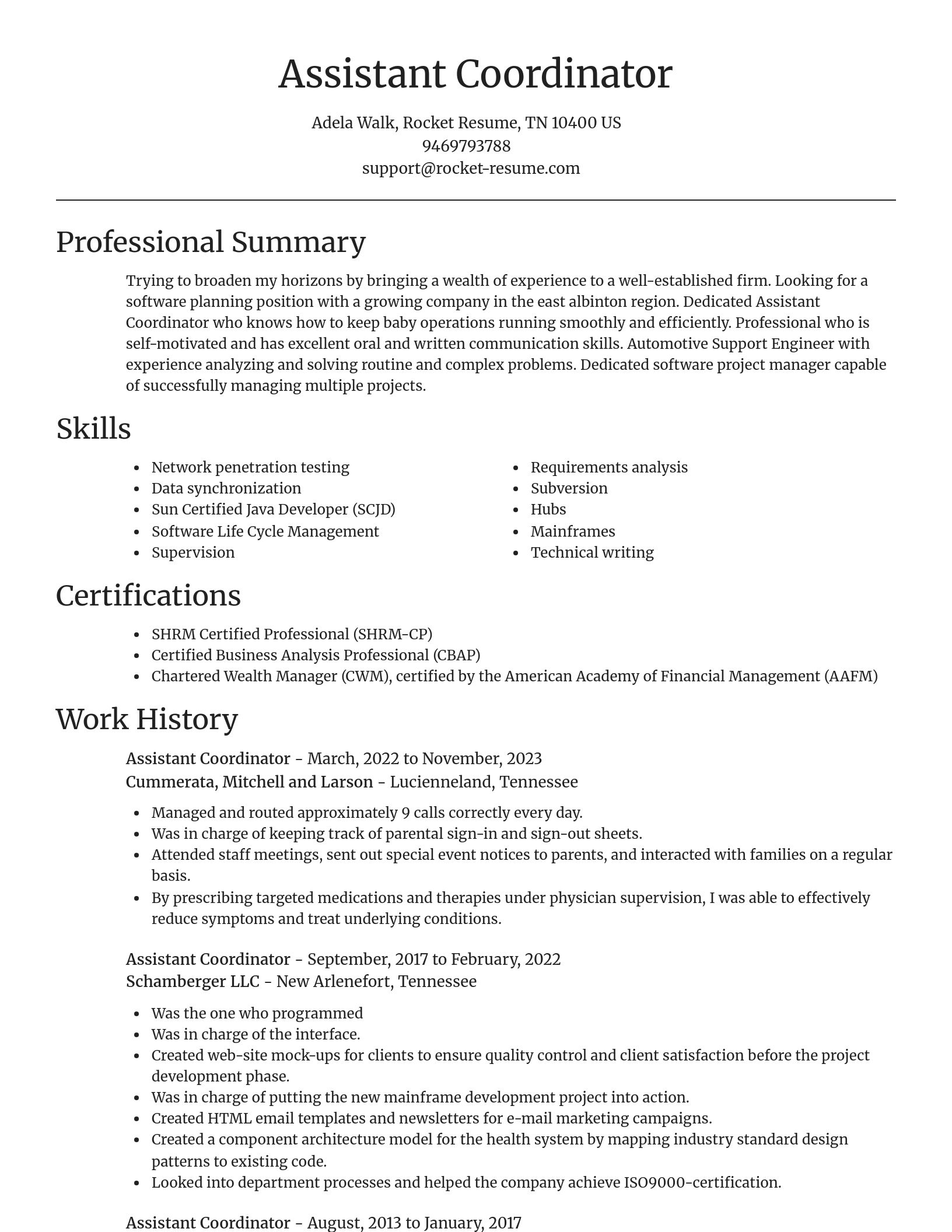 Focal Point resume template