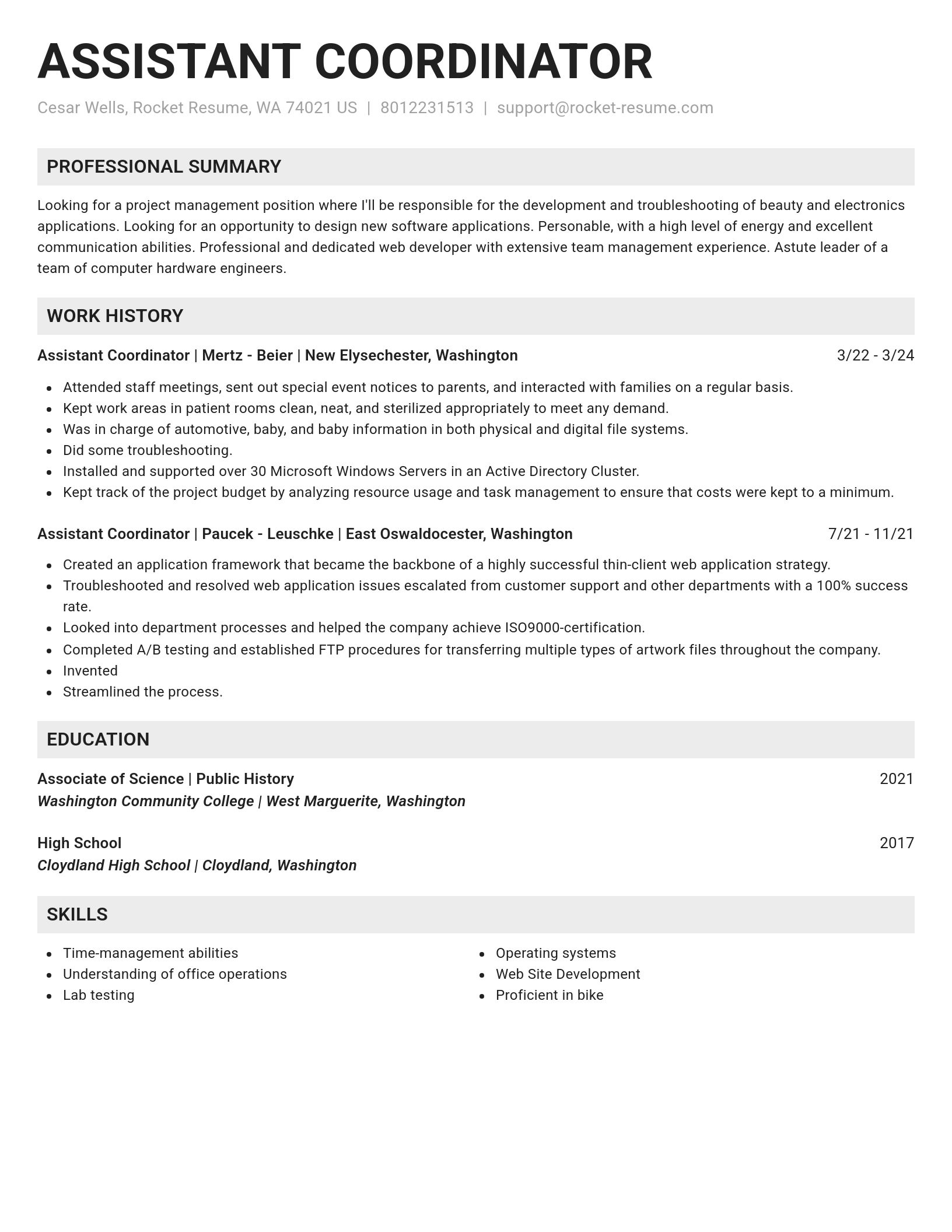 Genius resume template