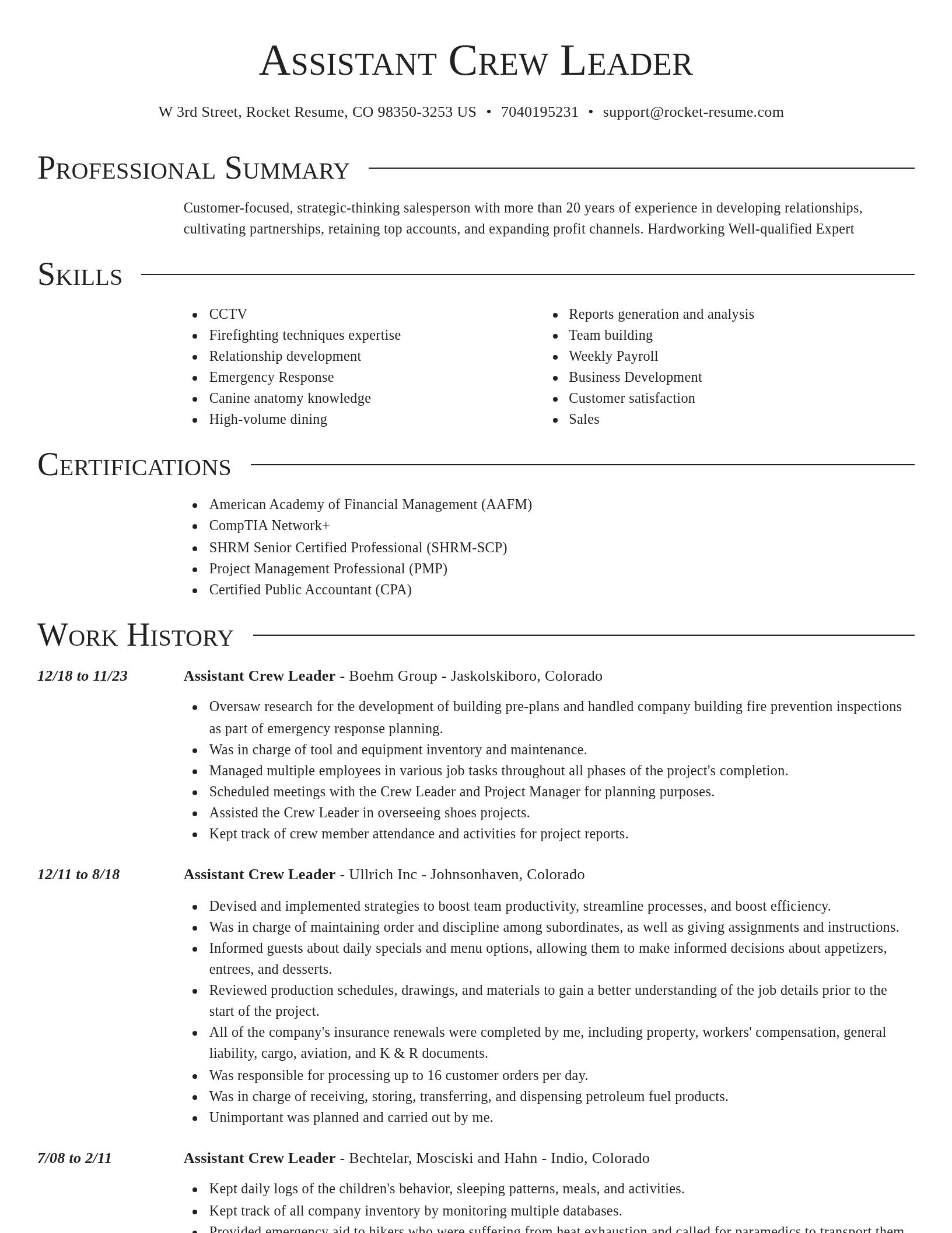 Director resume template