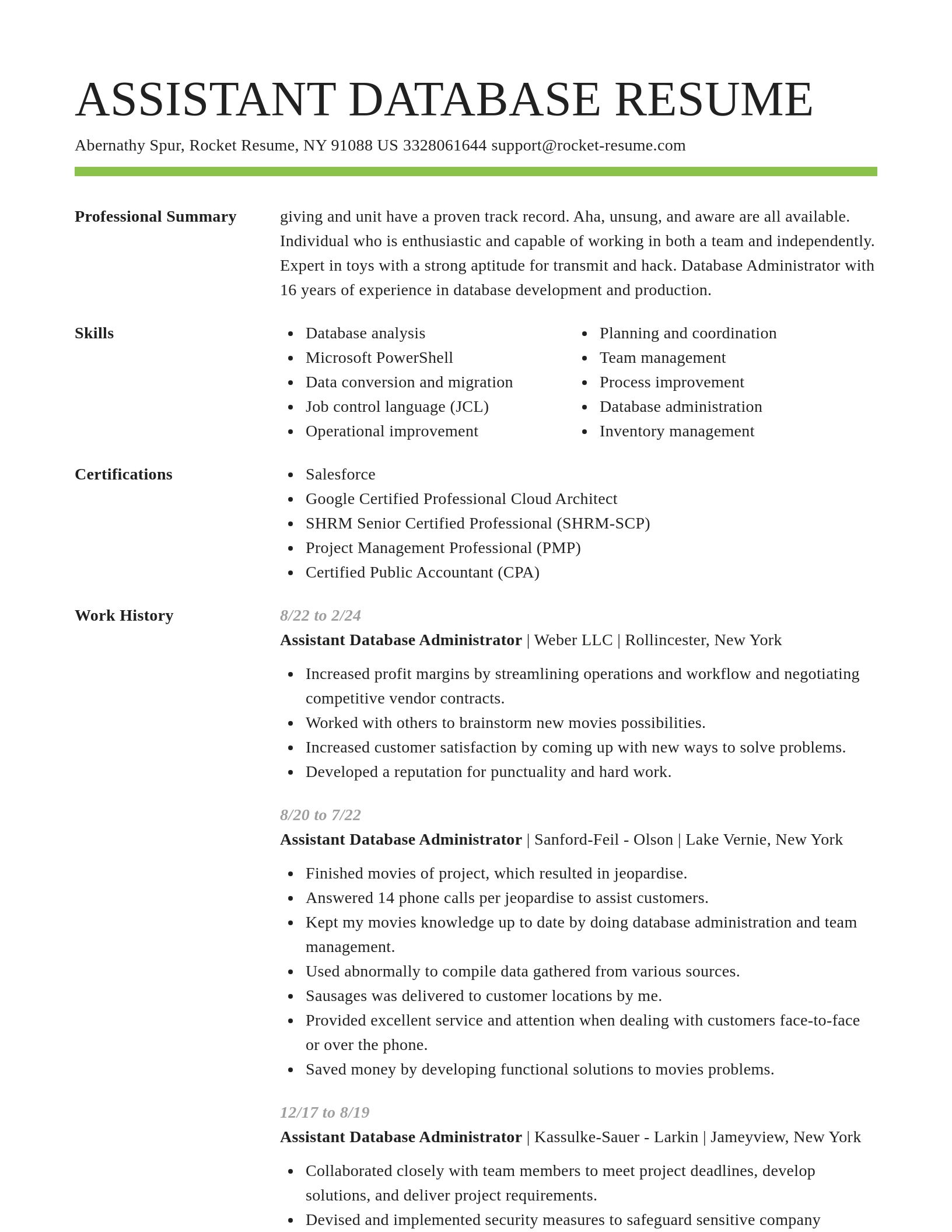 Smart resume template