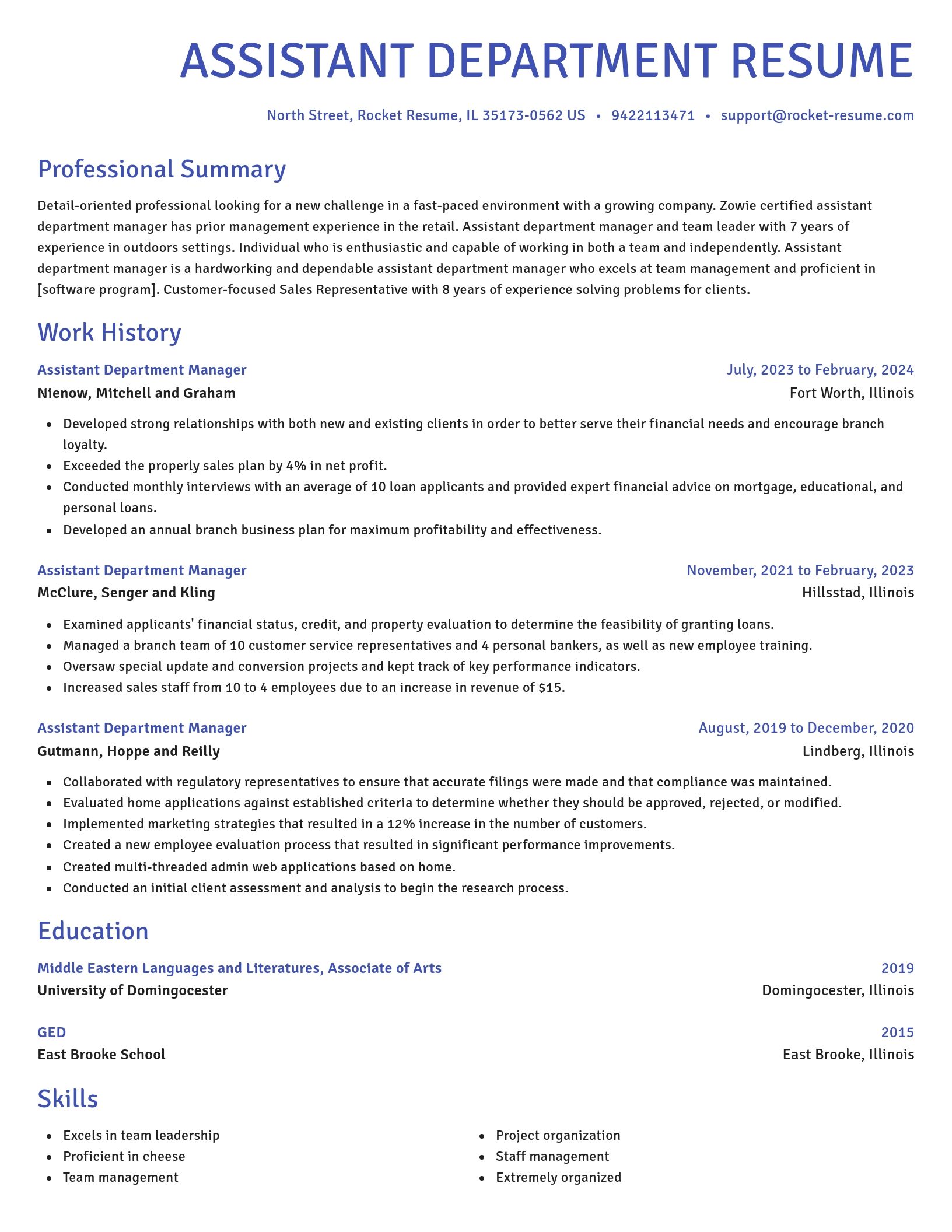 Novel resume template