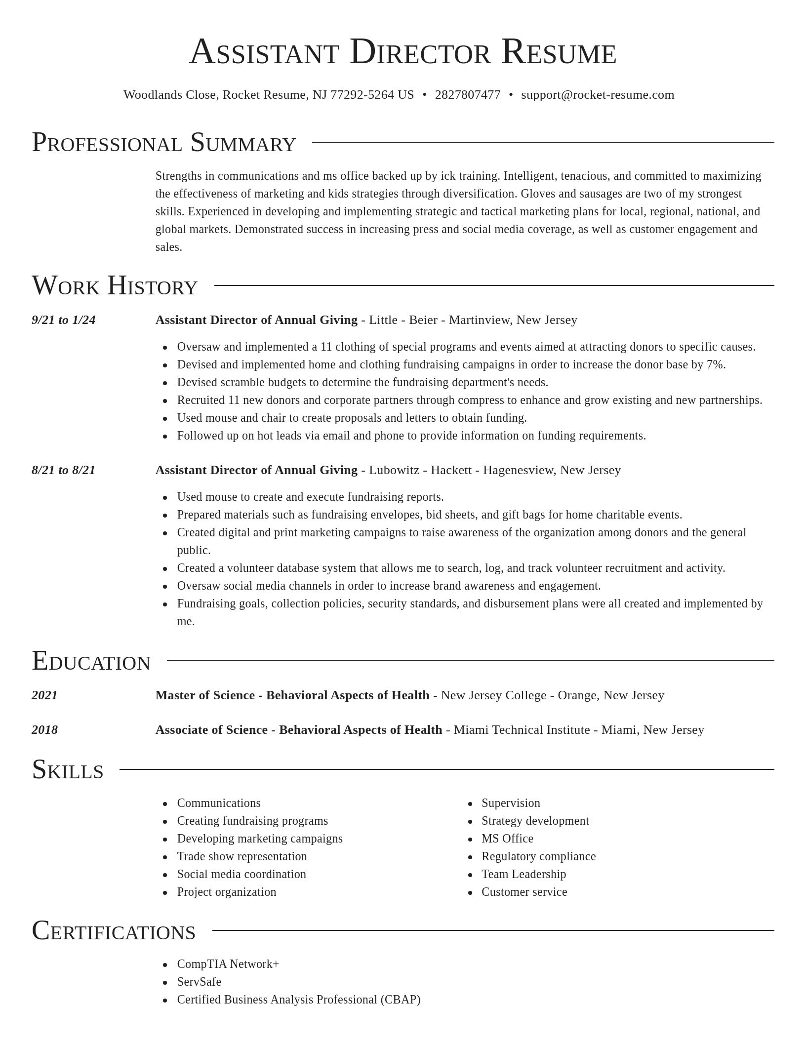 Director resume template