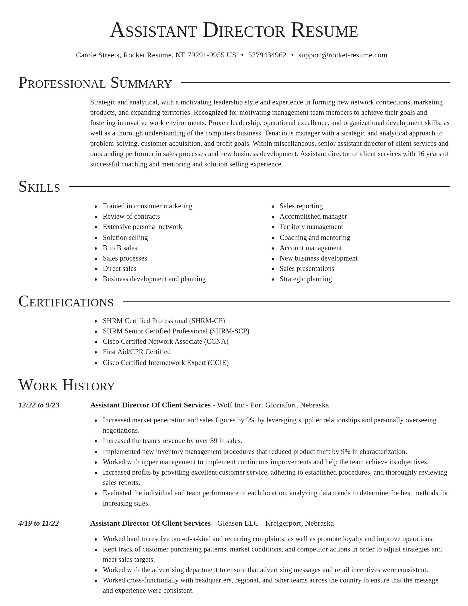 Director resume template