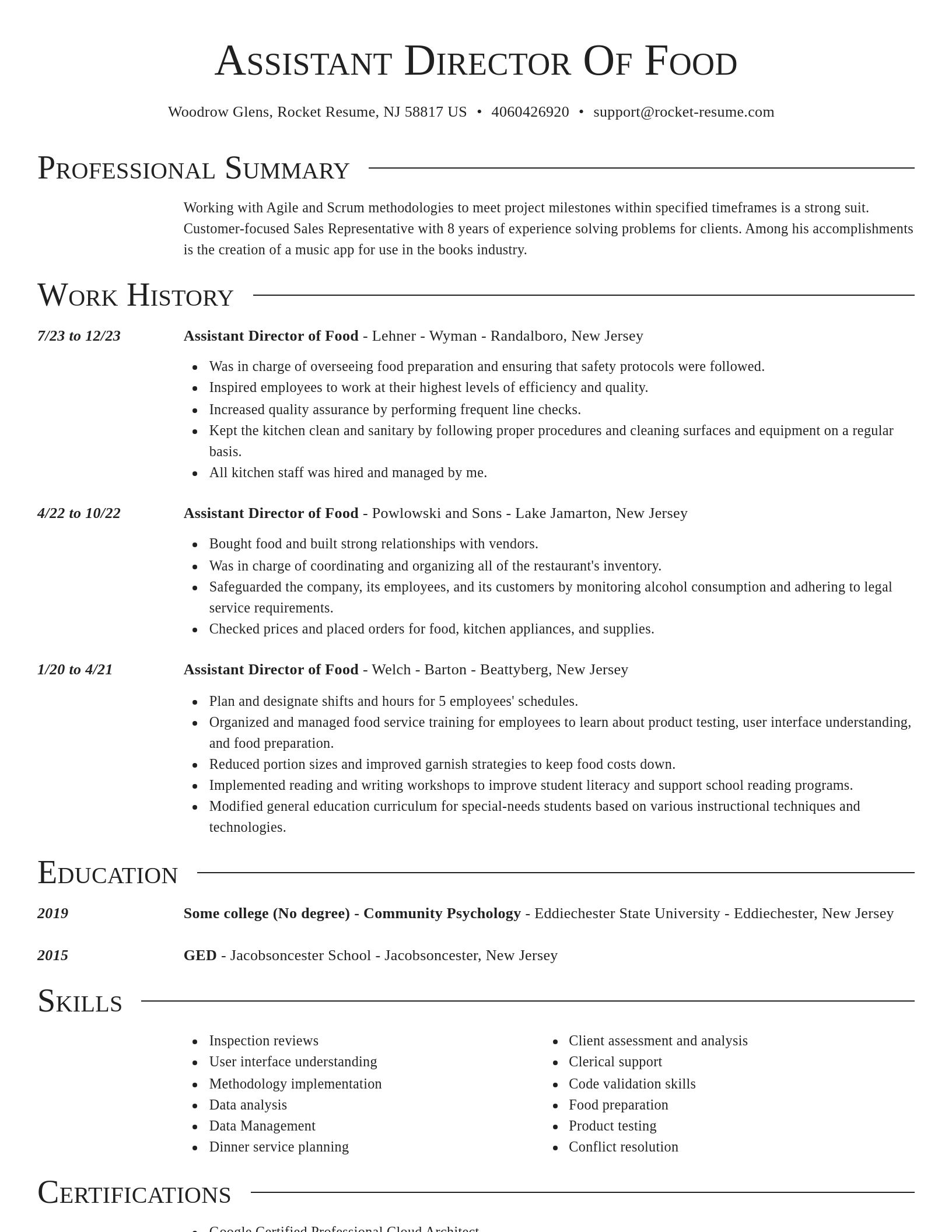 Director resume template