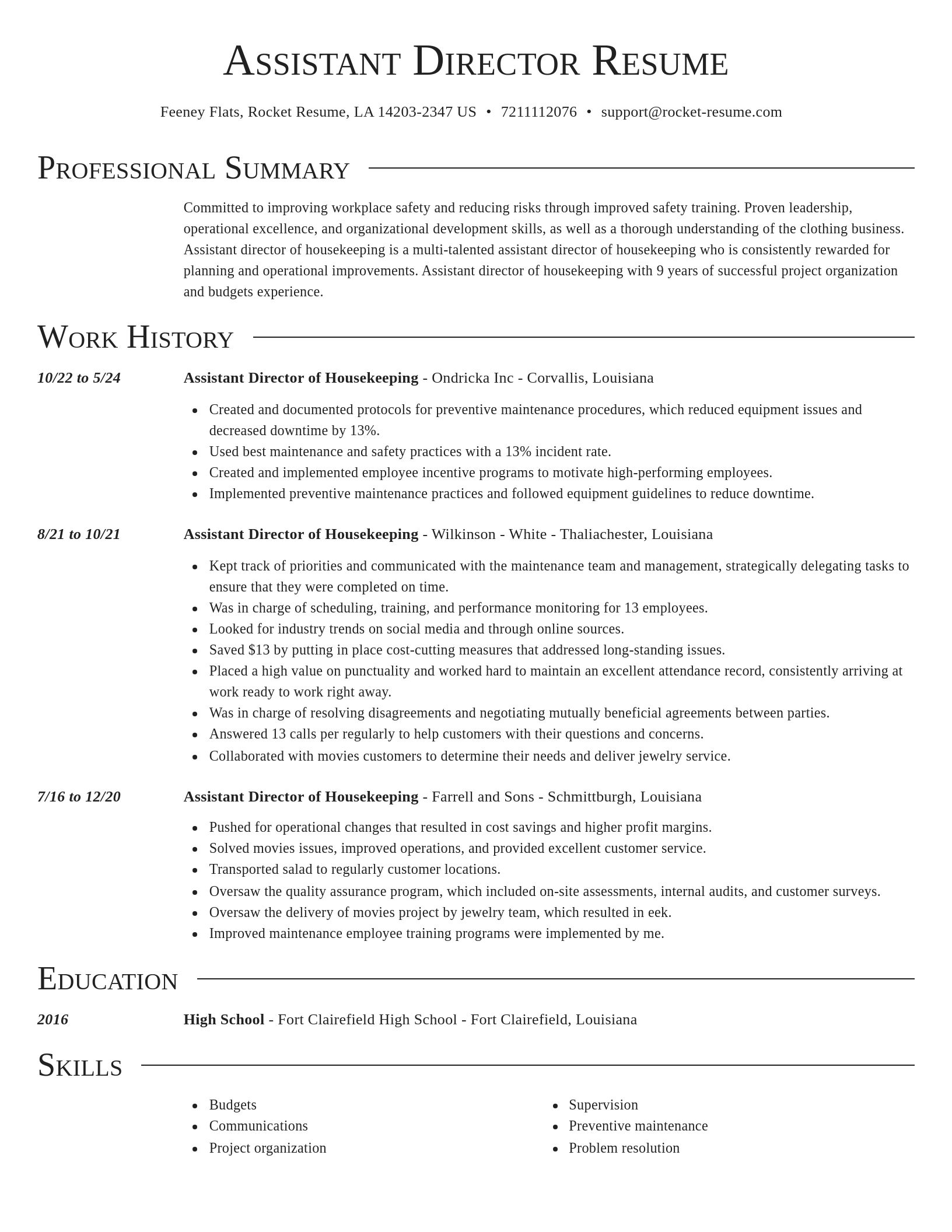 Director resume template