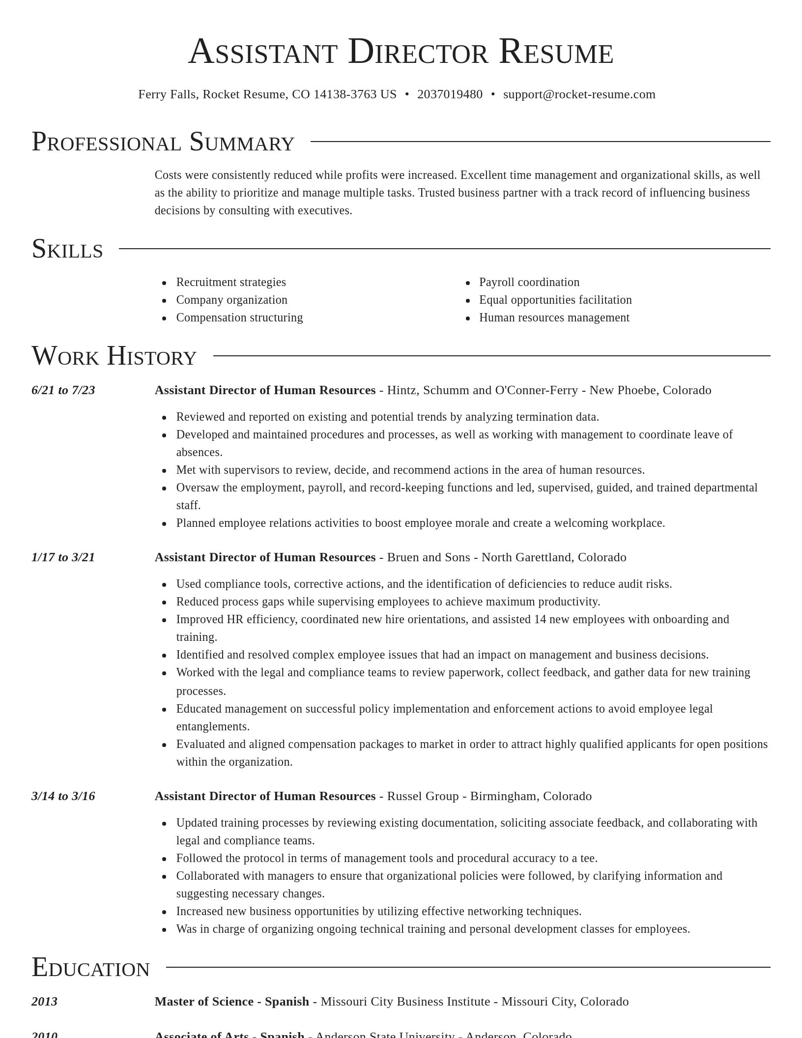 Director resume template