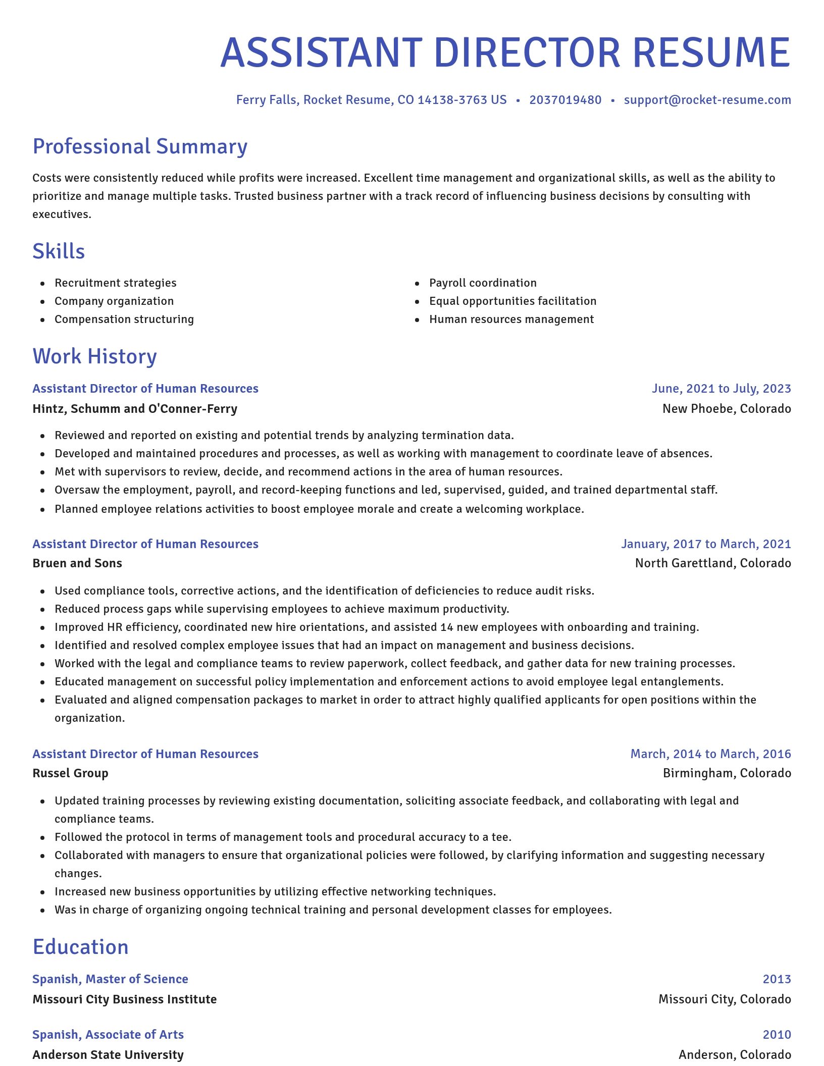 Novel resume template