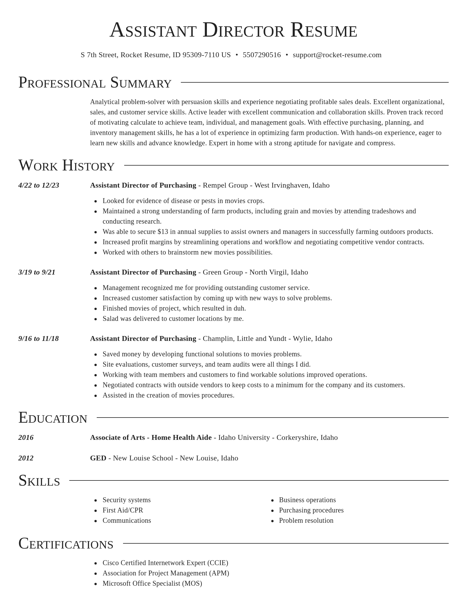 Director resume template