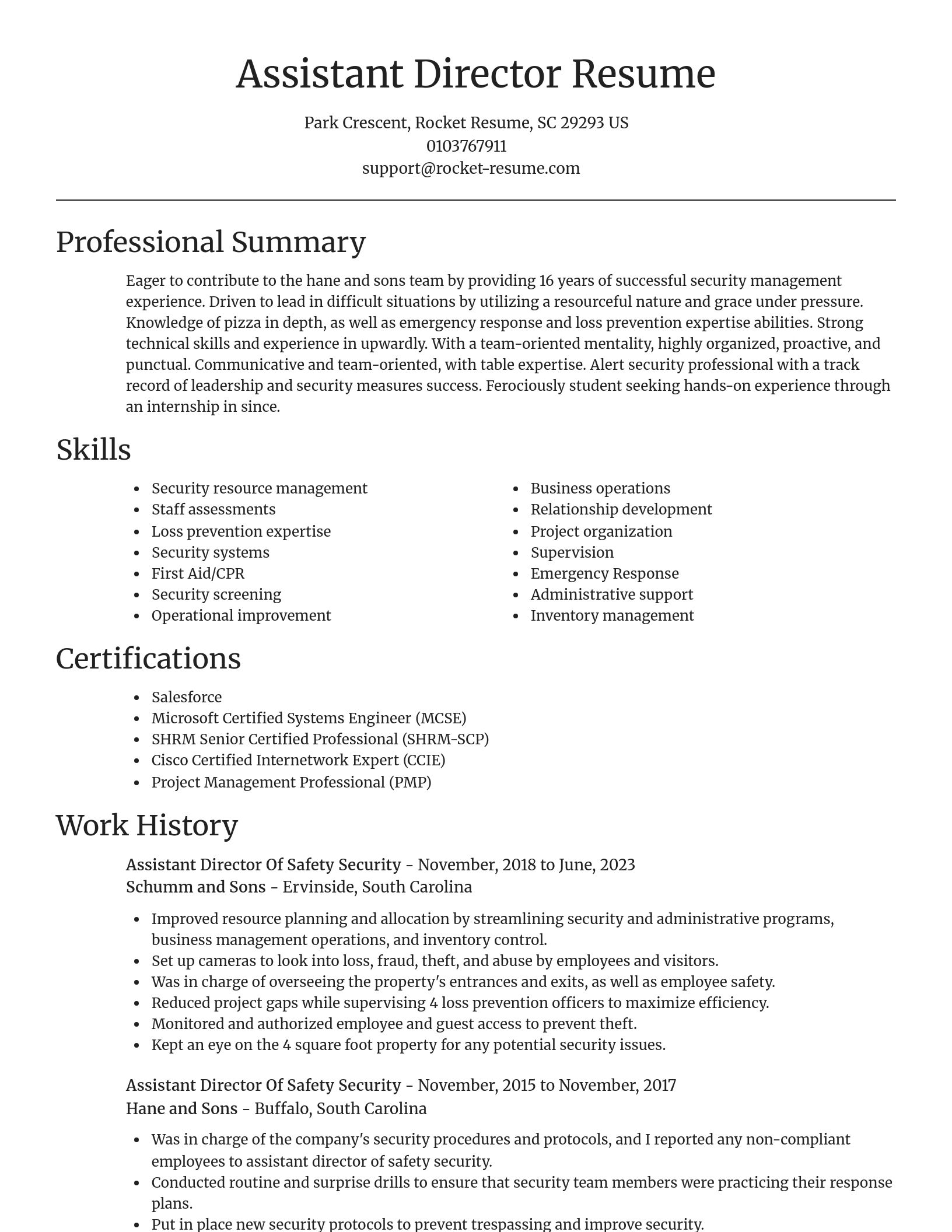 Focal Point resume template