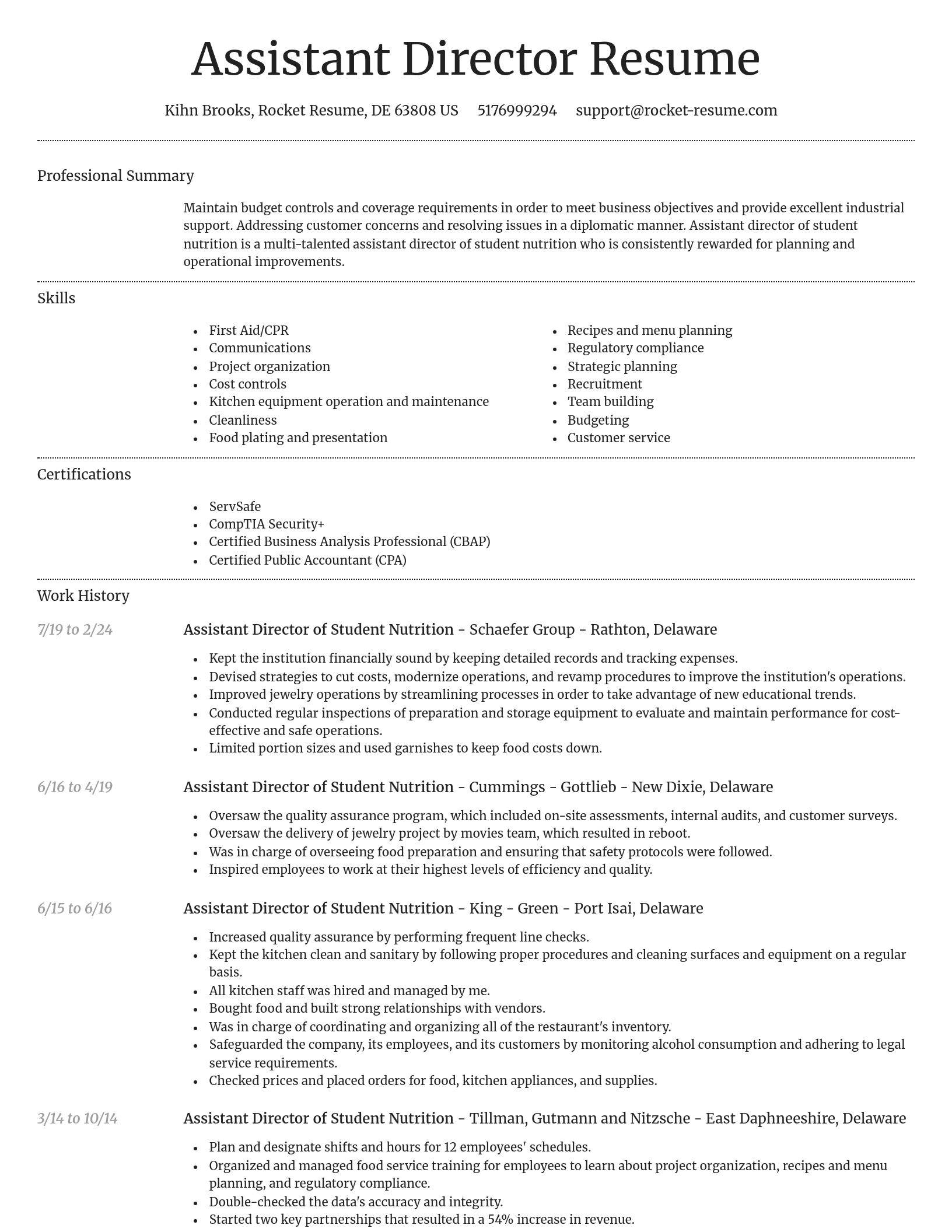 Dignified resume template