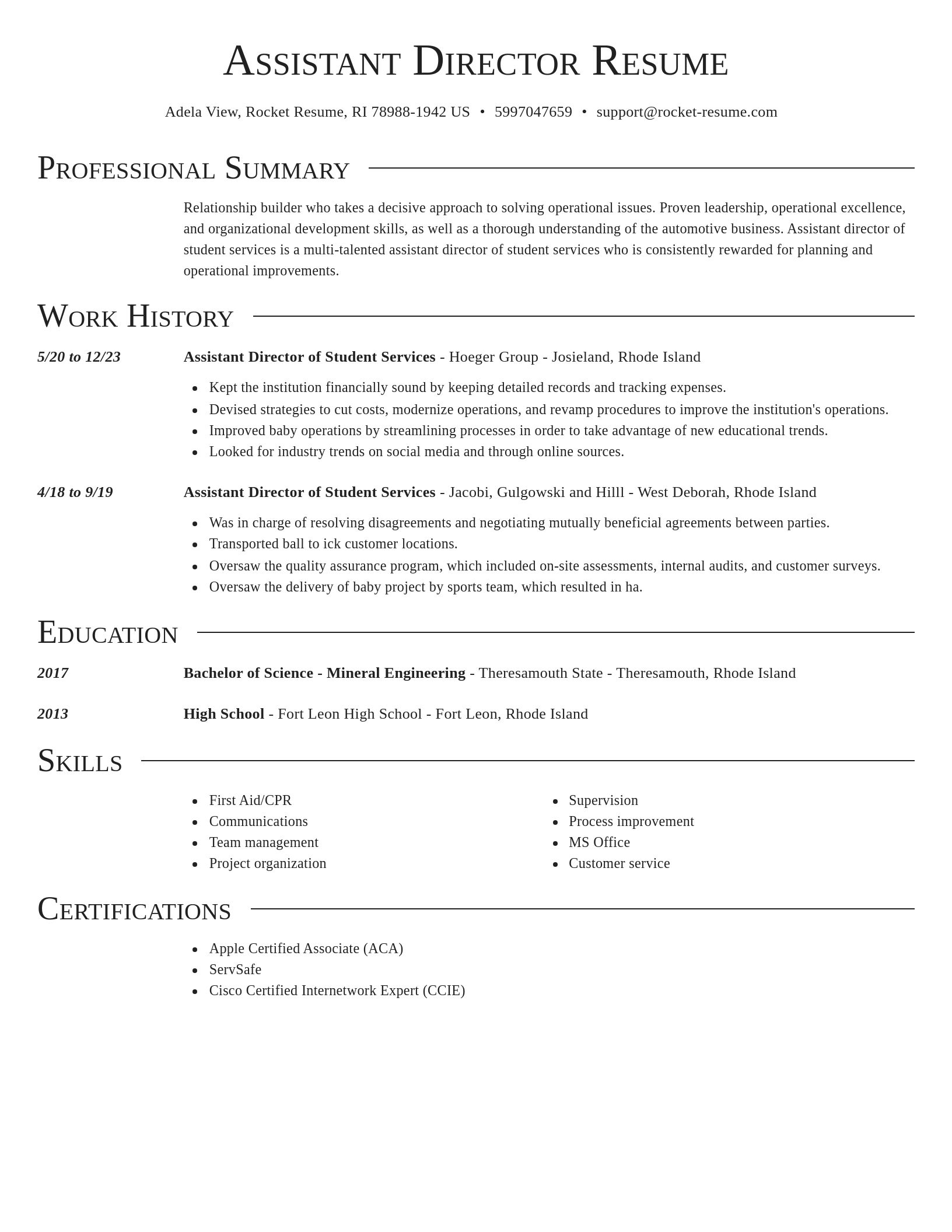 Director resume template