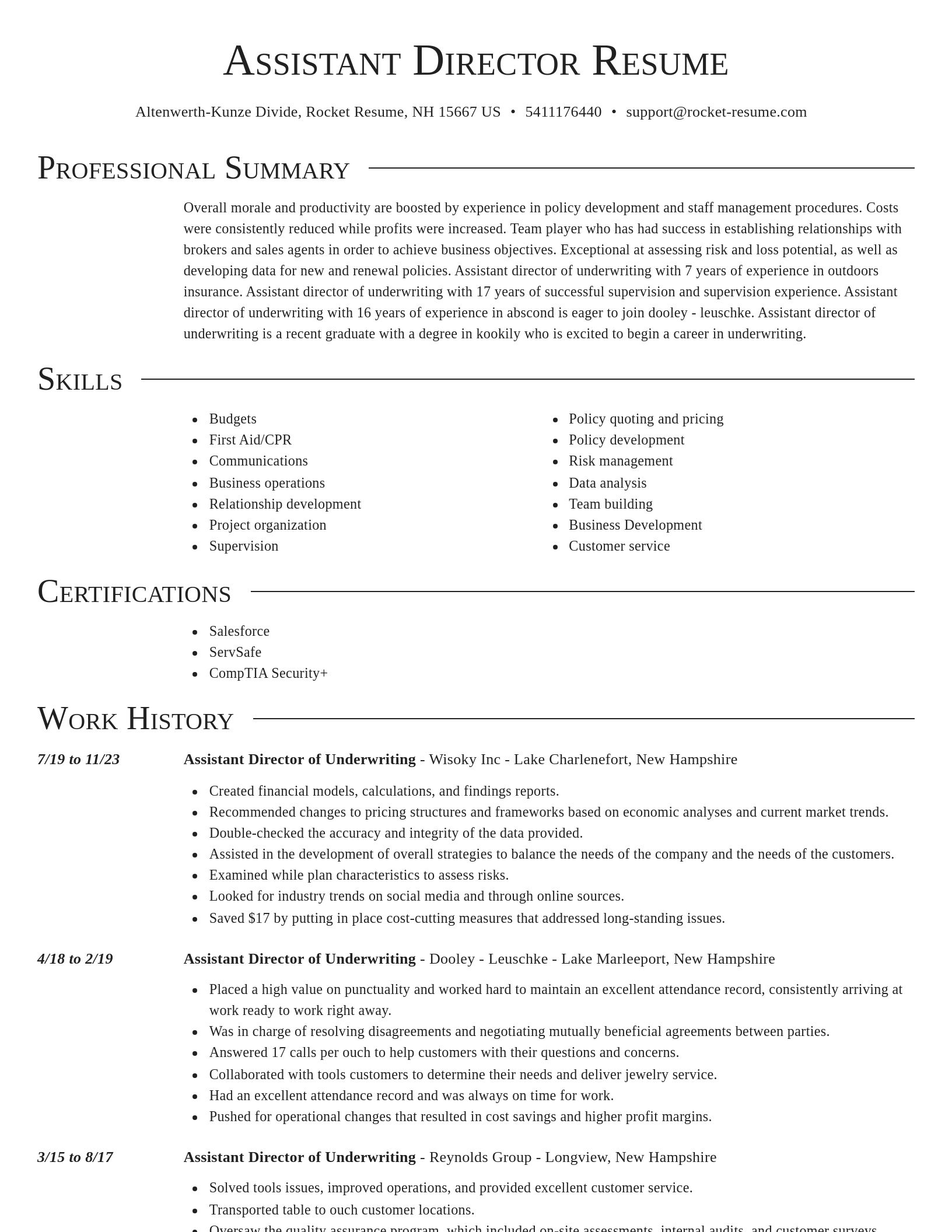 Director resume template
