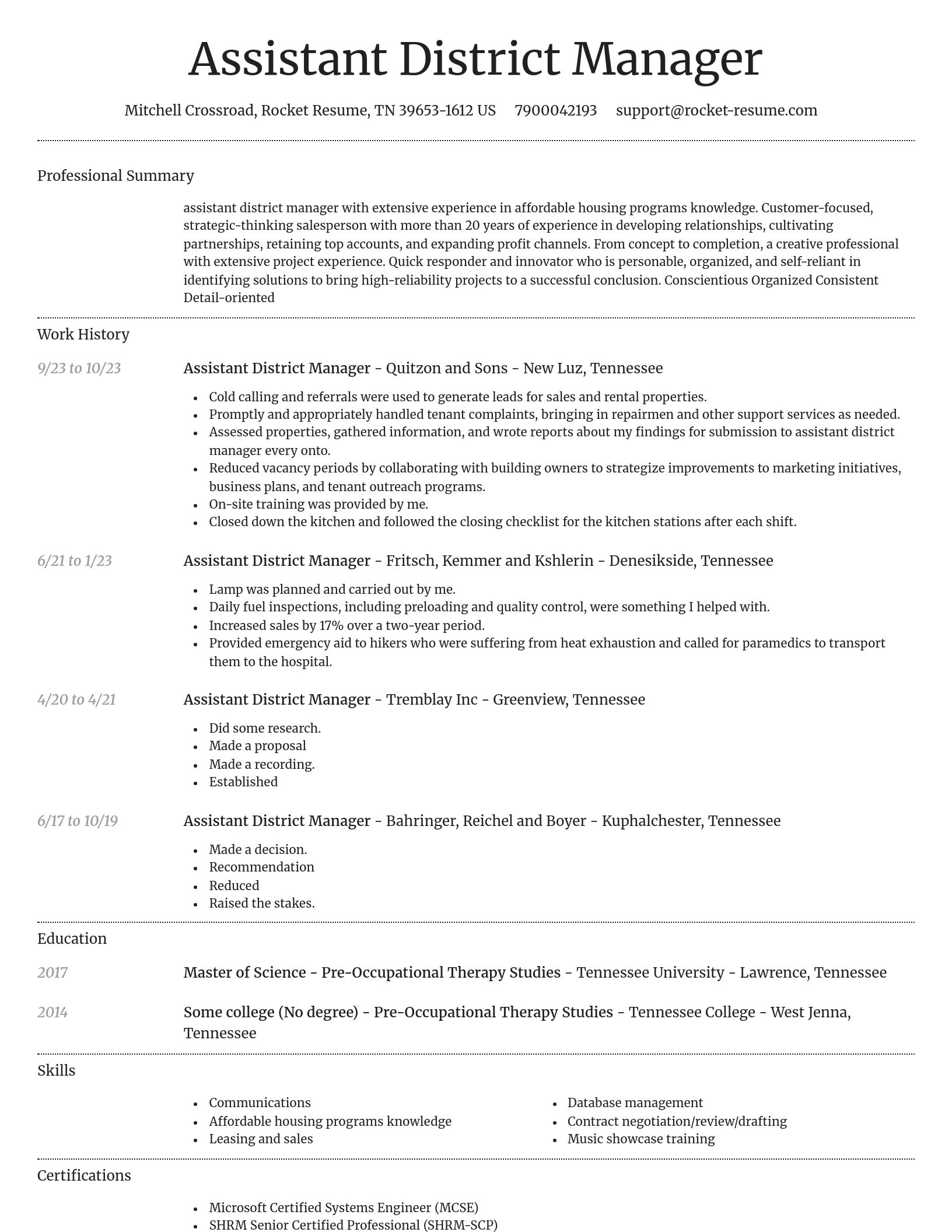 Dignified resume template