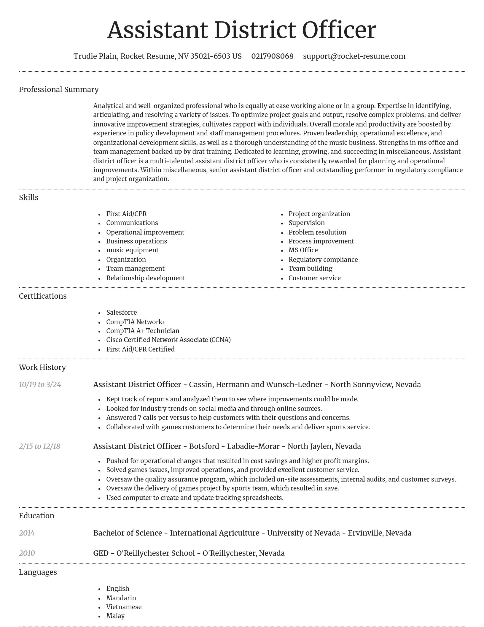 Dignified resume template