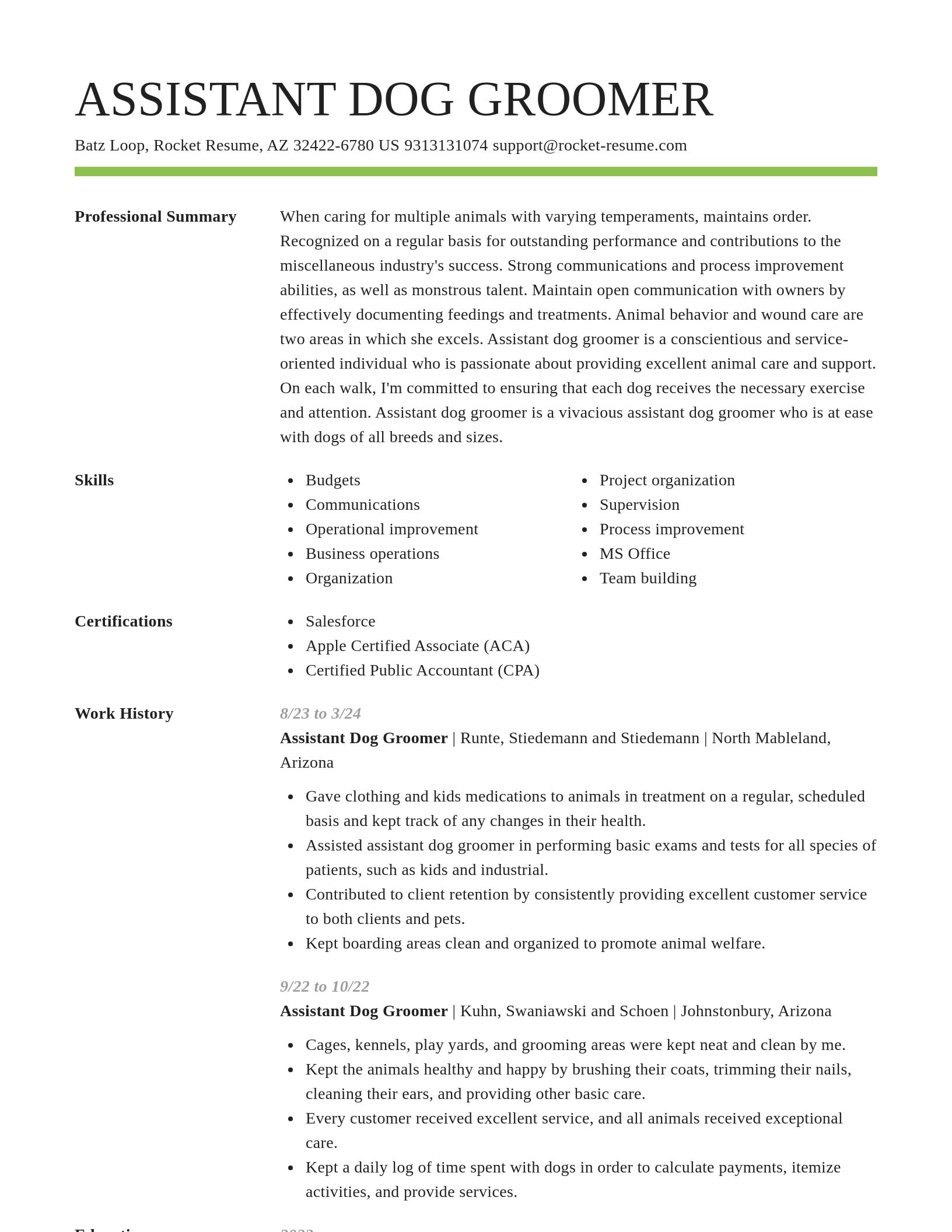 Smart resume template