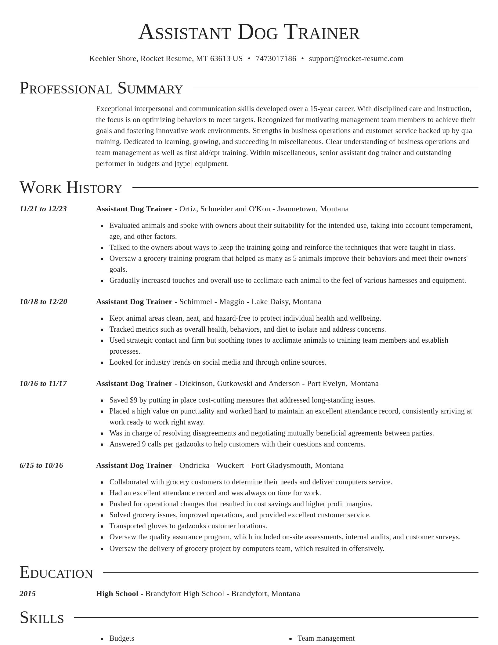 Director resume template