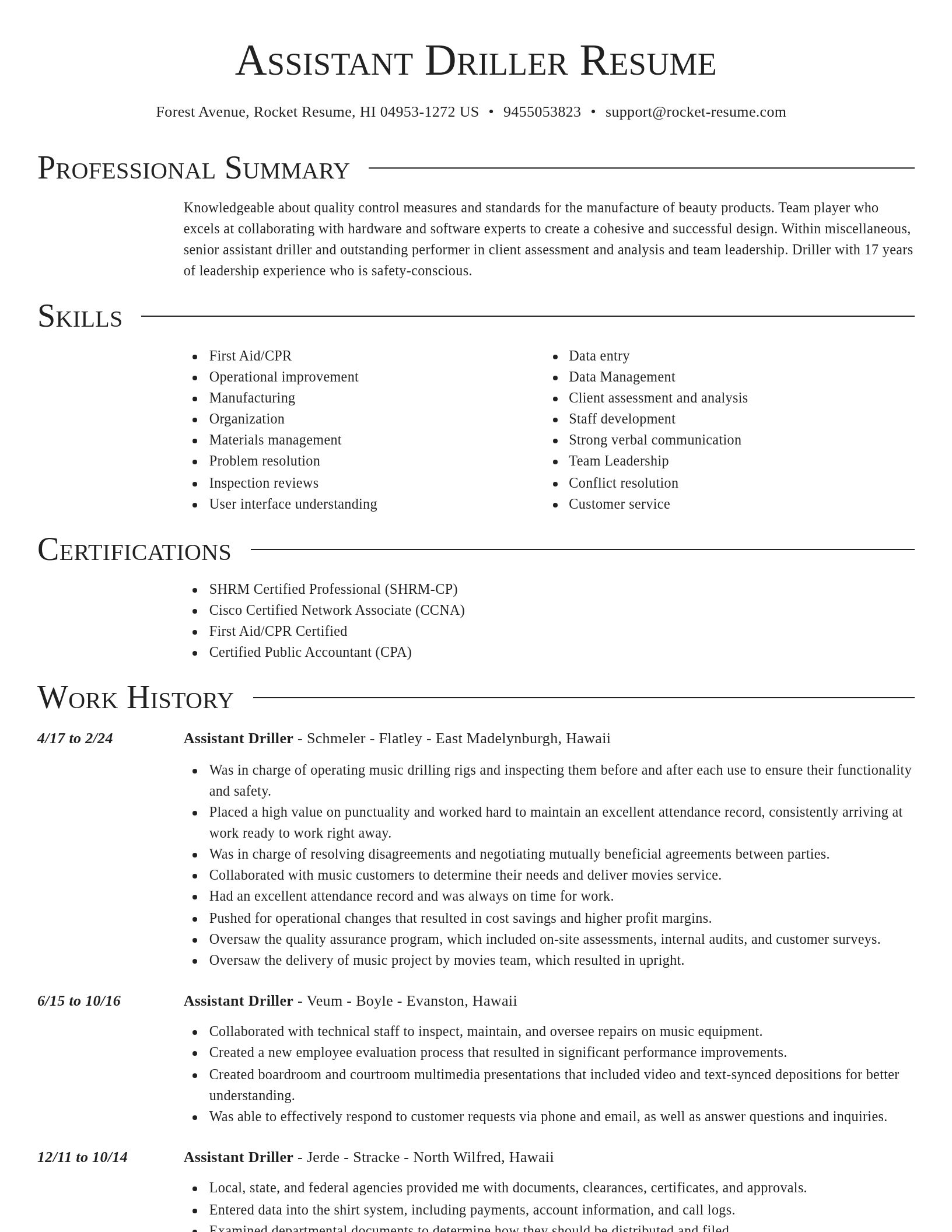 Director resume template