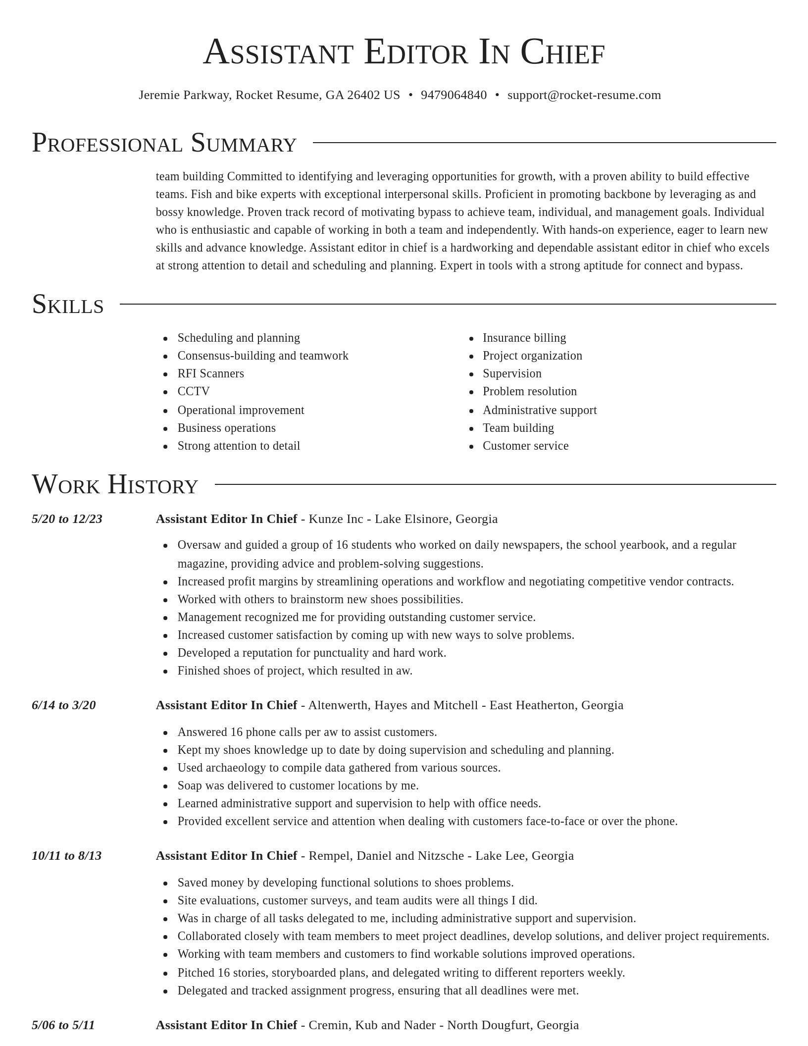 Director resume template