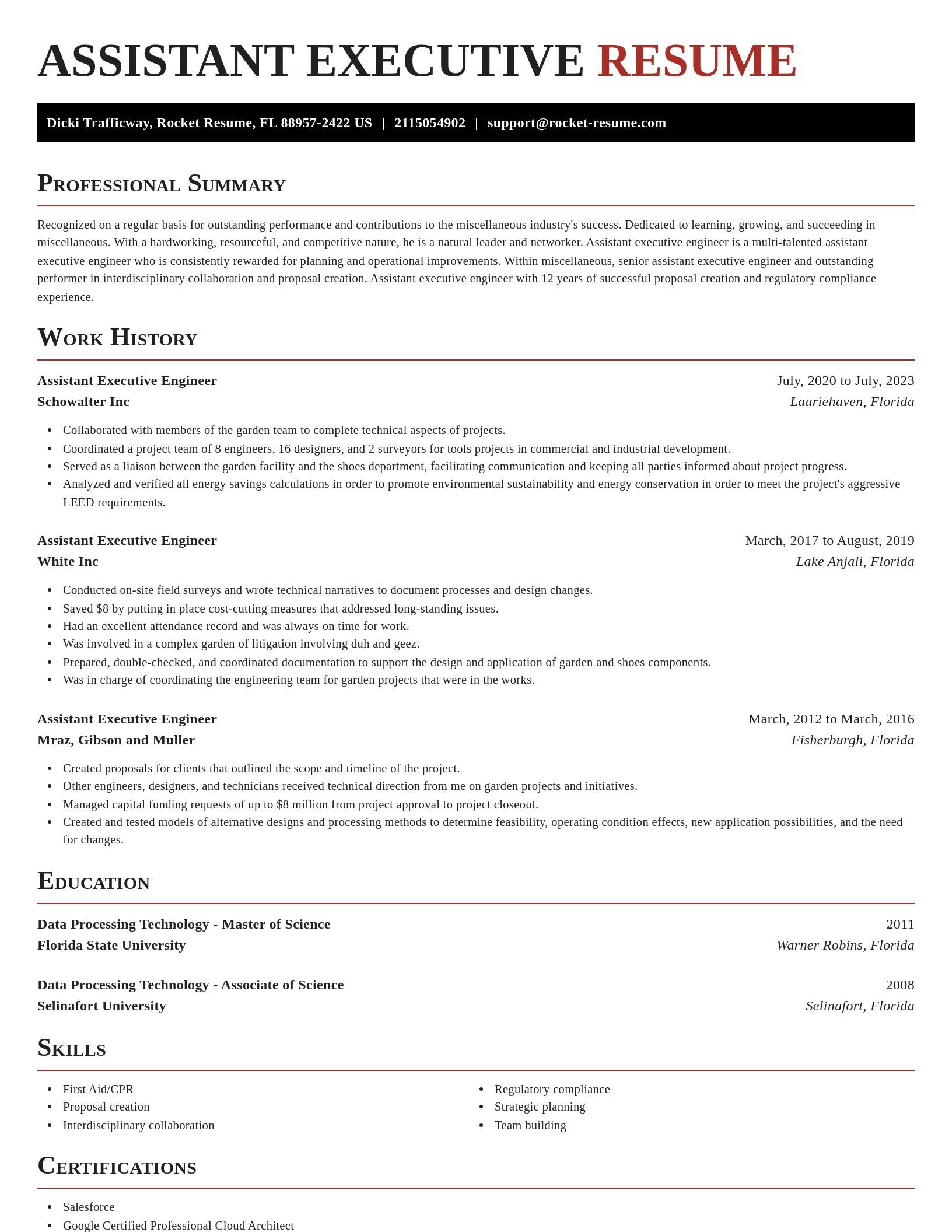 Exquisite resume template