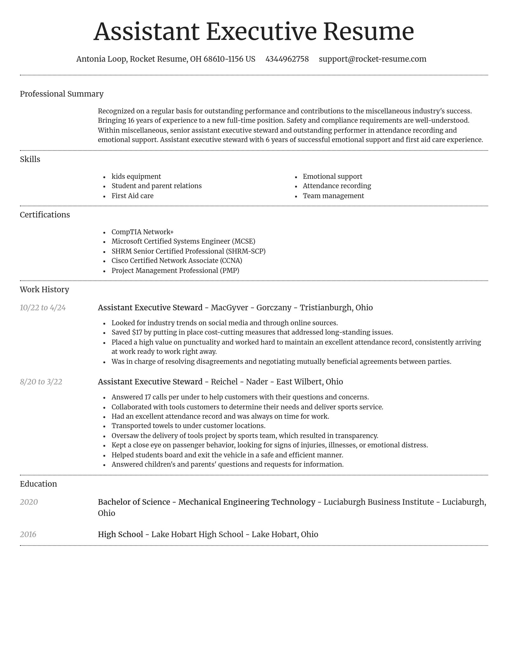 Dignified resume template