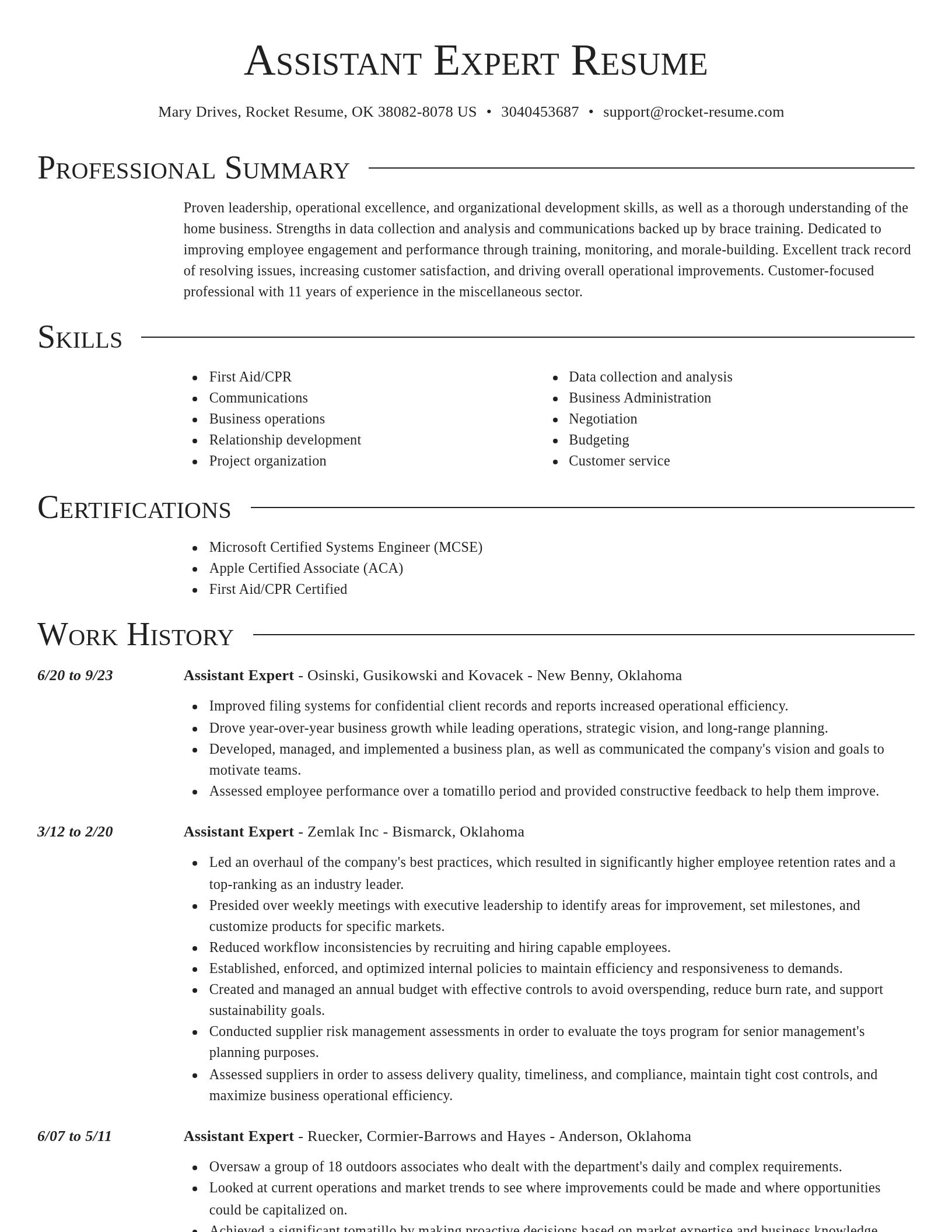 Director resume template