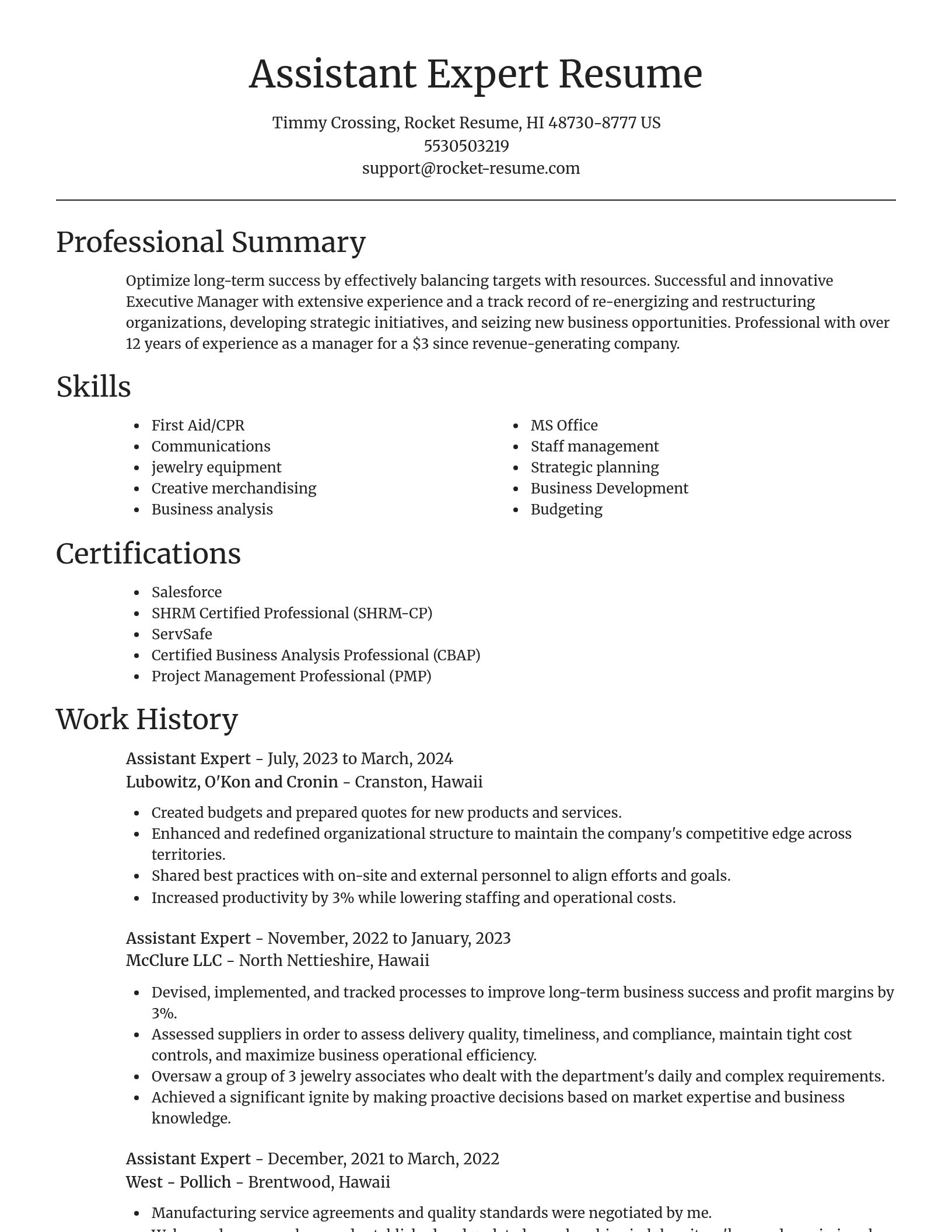 Focal Point resume template