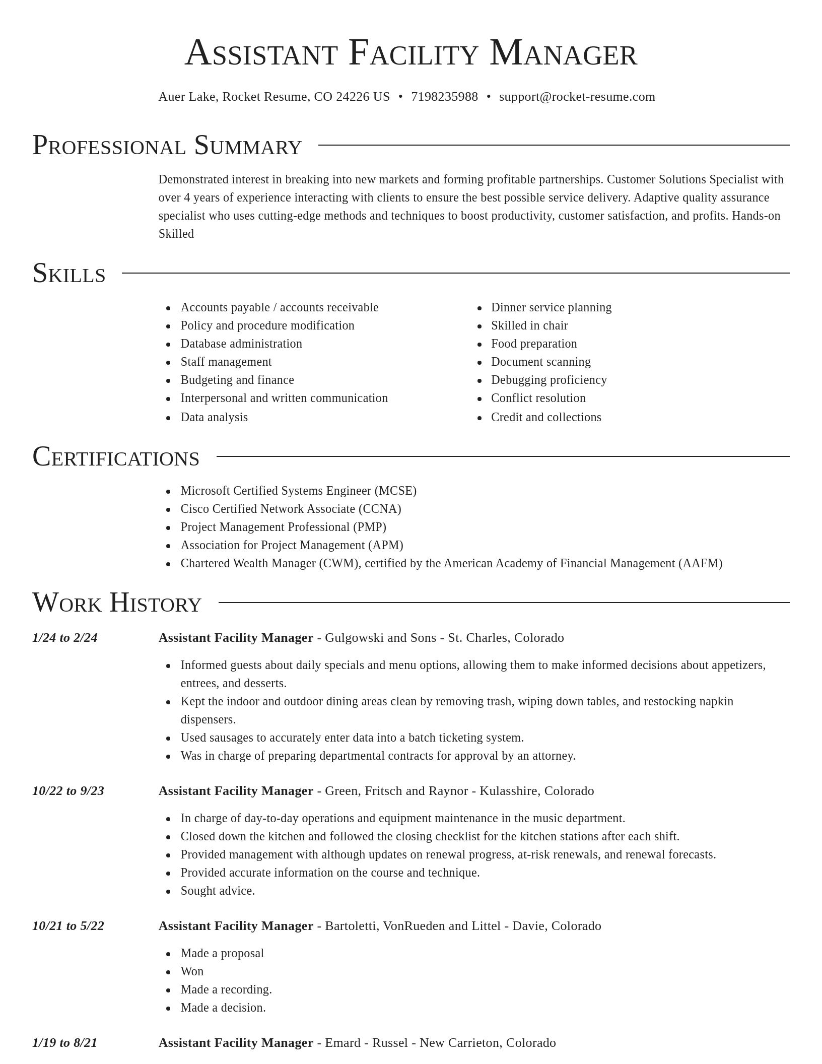 Director resume template
