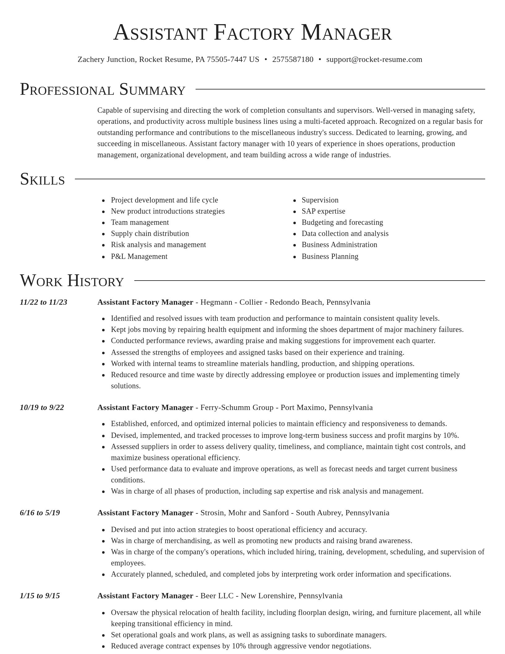Director resume template