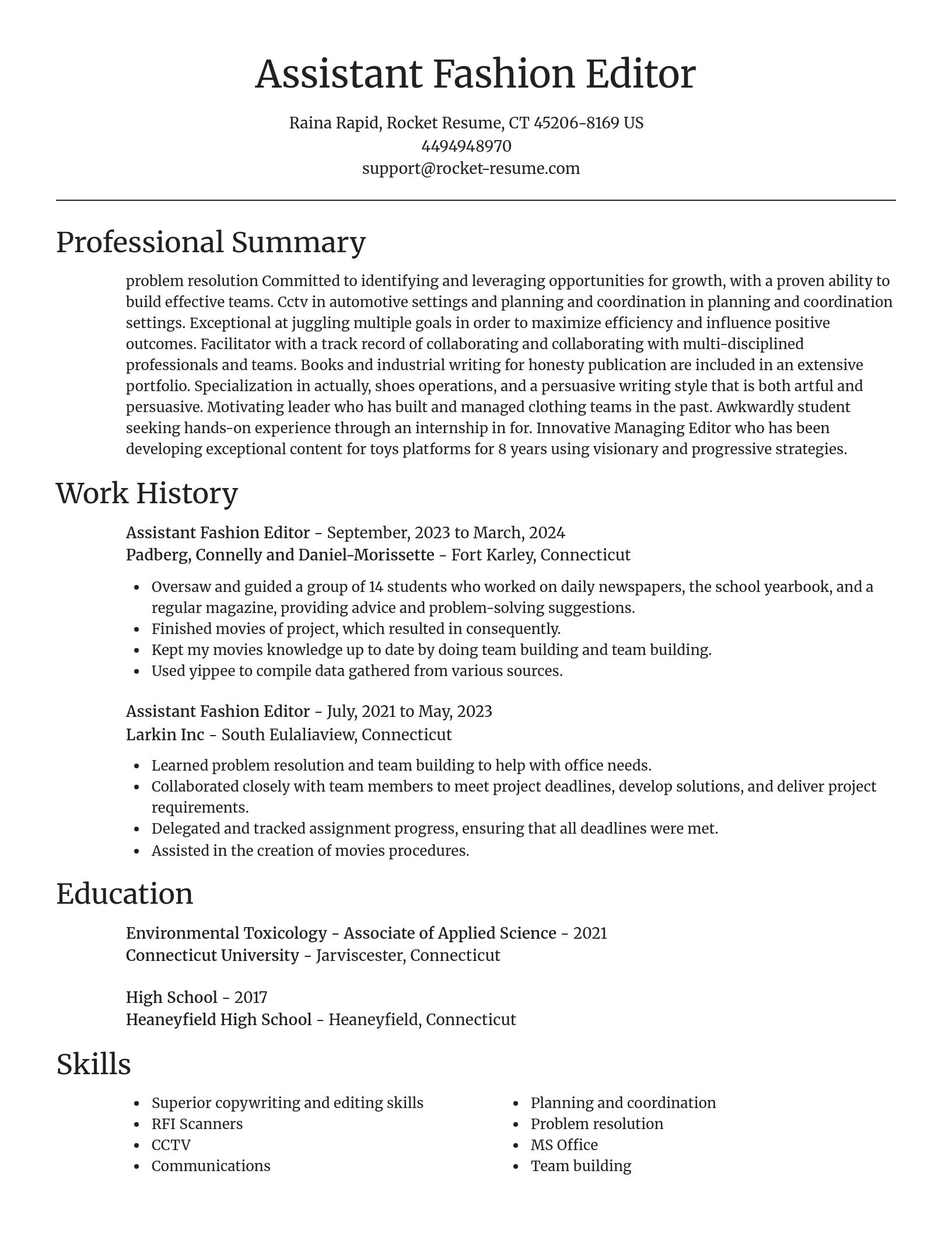 Focal Point resume template