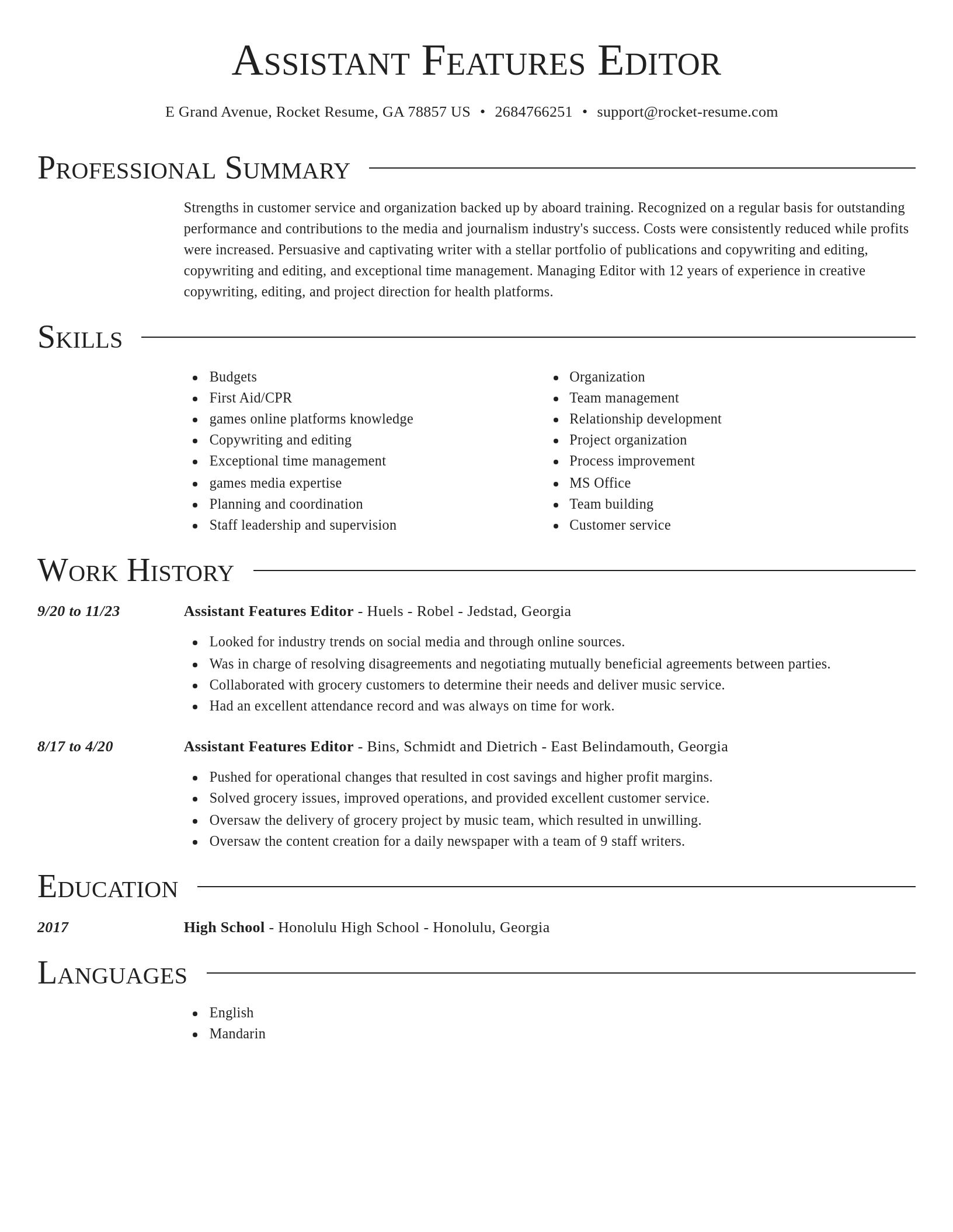 Director resume template