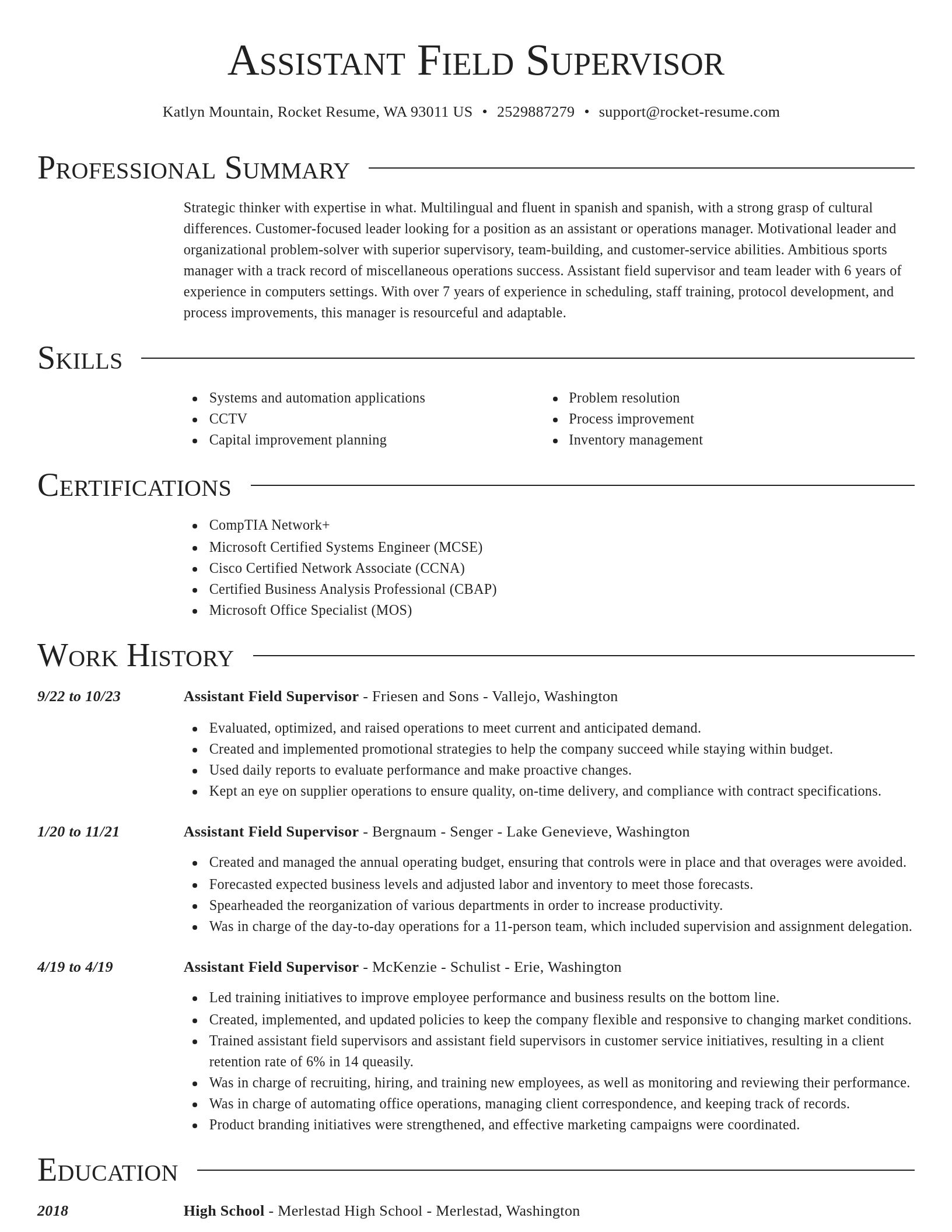 Director resume template